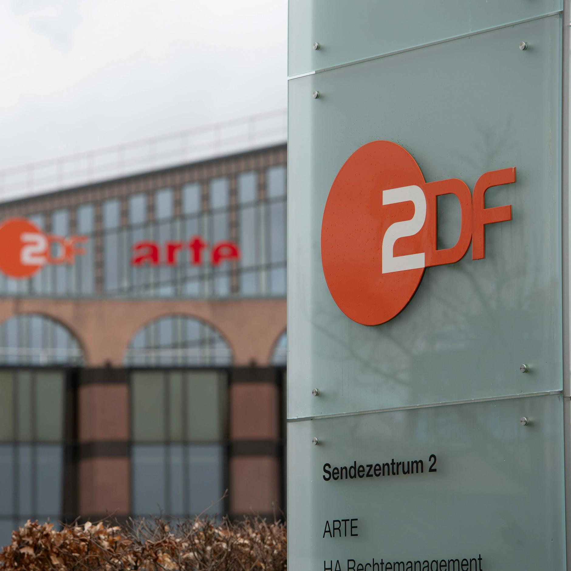 Image - ZDF bestätigt Hamas-Mitgliedschaft von Produktionsfirmen-Mitarbeiter