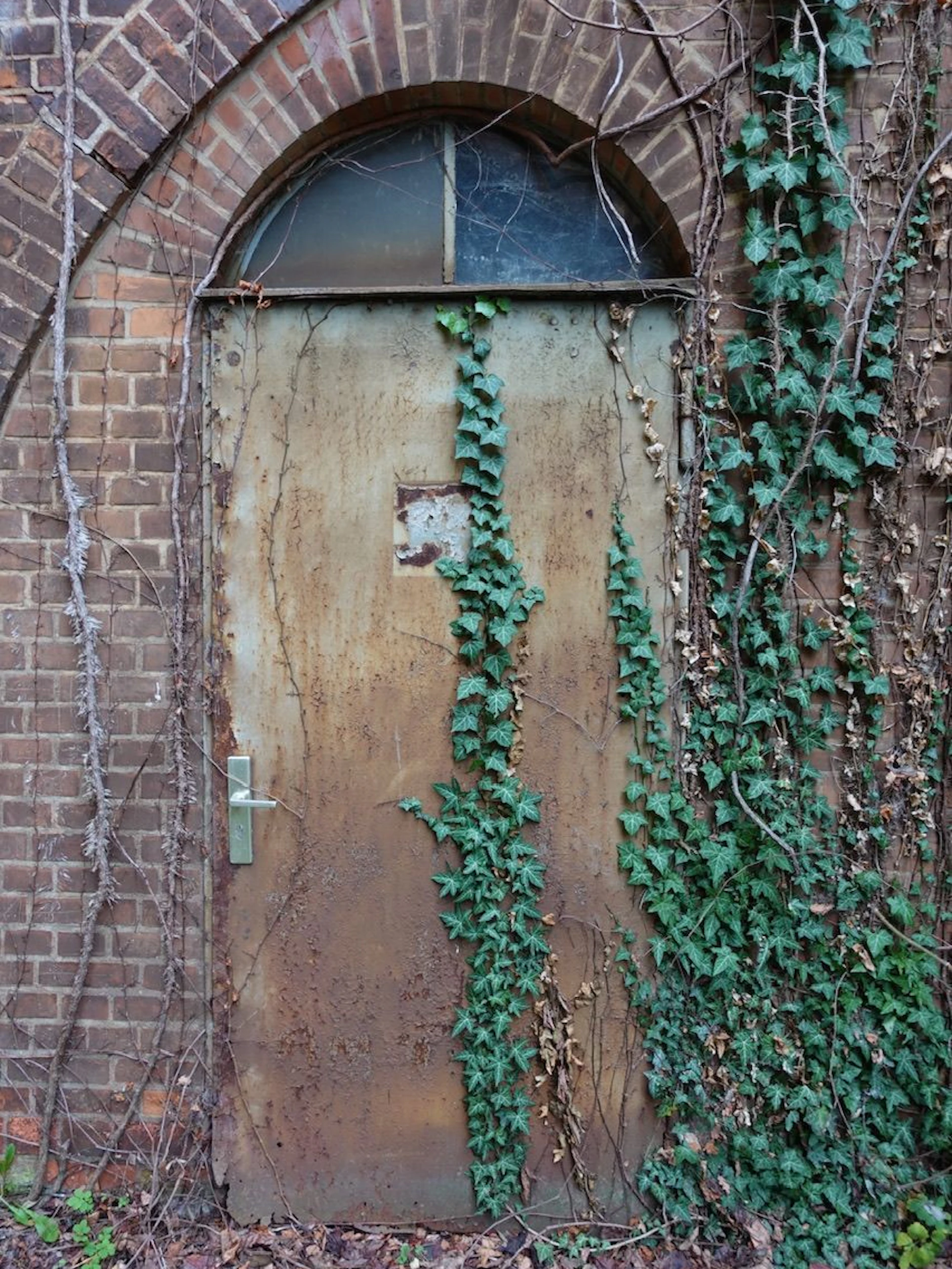 Mit Dornröschen-Charme: Efeu wuchert die verrosteten Türen zu.