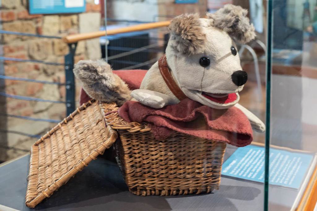 Die Handpuppe vom Hund Struppi: Sie ist im Besitz des Stadtmuseums Pirna, soll im Frühjahr wieder in einer Sonderausstellung gezeigt werden.