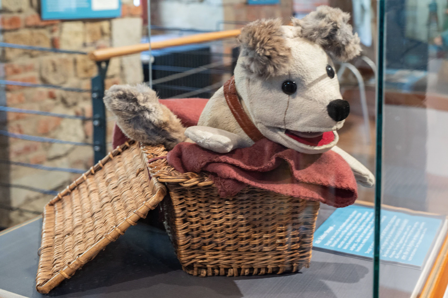 Die Handpuppe vom Hund Struppi: Sie ist im Besitz des Stadtmuseums Pirna, soll im Frühjahr wieder in einer Sonderausstellung gezeigt werden.
