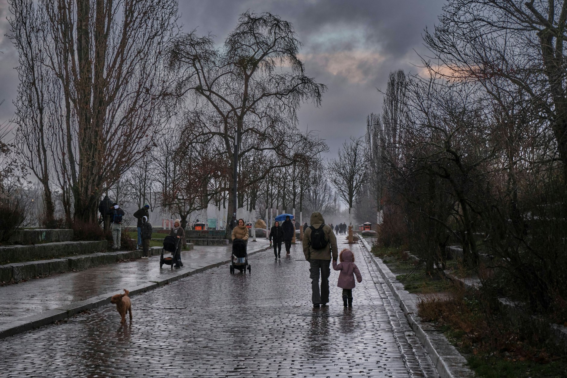 Vom Prenzlauer Berg geht es nach dem dramatischen Einschnitt für die Familie nach Salzgitter.