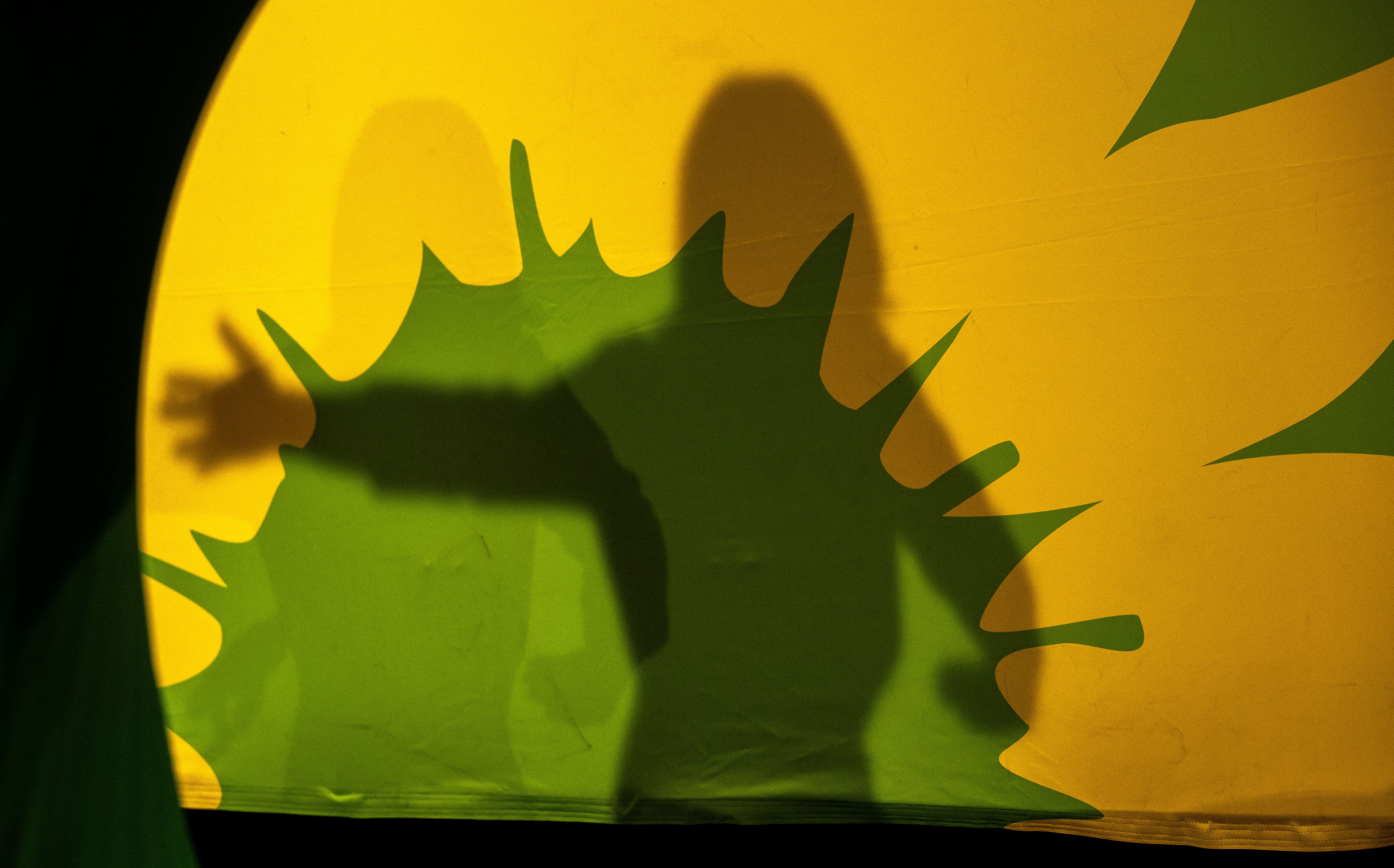 Image - Grüne Intrige gegen Stefan Gelbhaar: Ist eine Berliner Abgeordnete in den Fall verwickelt?