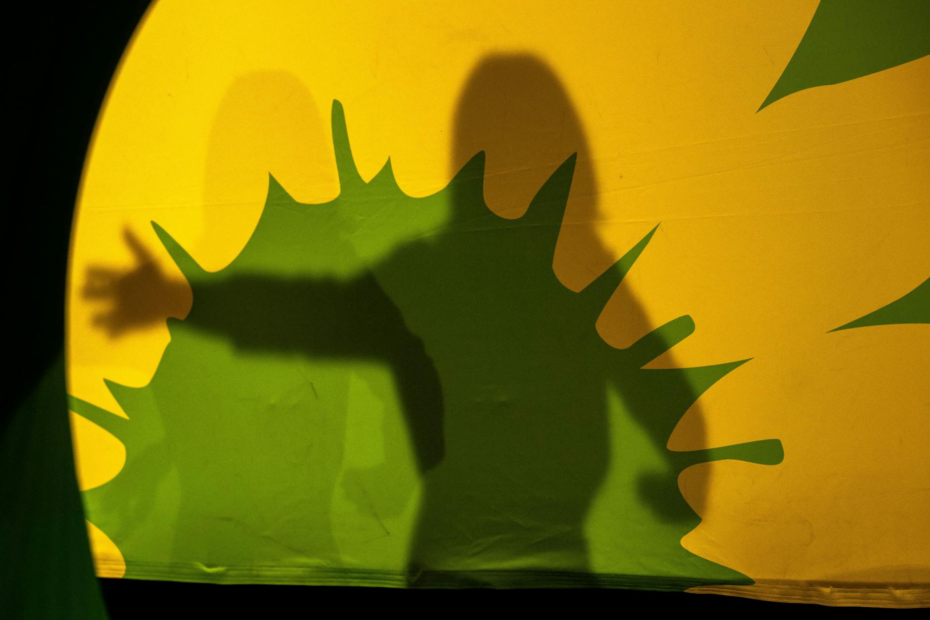 Grüne Intrige gegen Stefan Gelbhaar: Ist auch eine Abgeordnete in den Fall verwickelt?