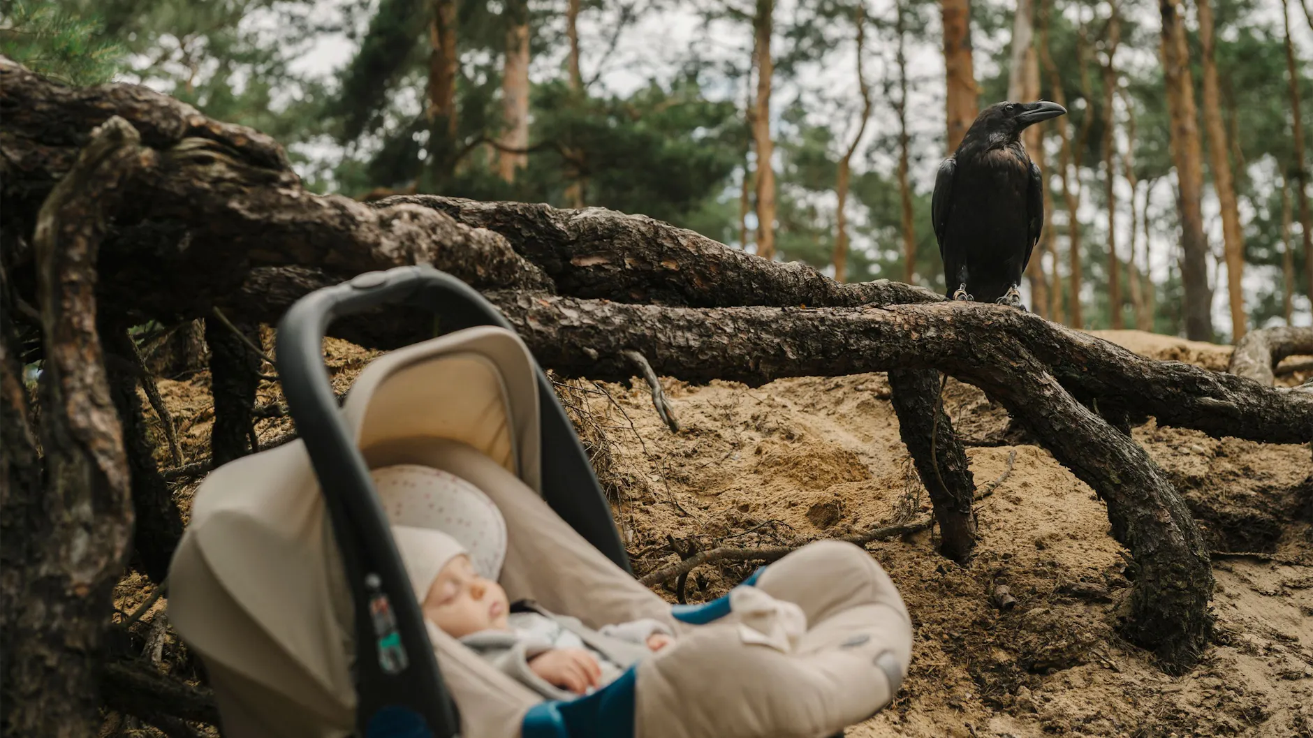Mystisch geht es im neuen Brandenburg-Krimi zu: Das entführte Kind Liam mit einem Raben im Hintergrund – passend zu den Ermittlern, die beide Raabe mit Nachnamen heißen.
