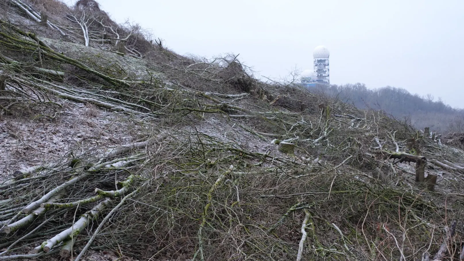 Der ganze Hang bietet ein Bild der Verwüstung. Im Hintergrund sieht man den Großen Teufelsberg mit der alten US-Abhörstation.