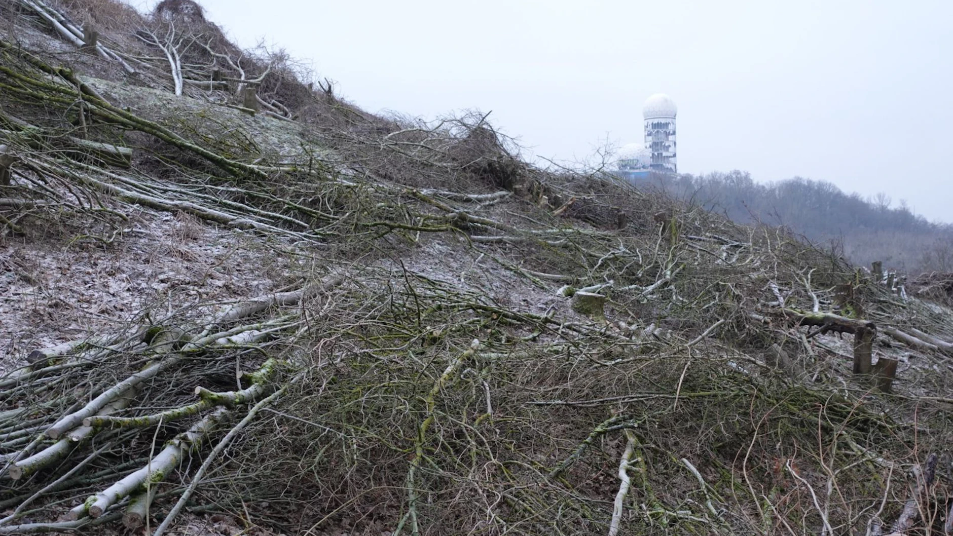 Der ganze Hang bietet ein Bild der Verwüstung. Im Hintergrund sieht man den Großen Teufelsberg mit der alten US-Abhörstation.