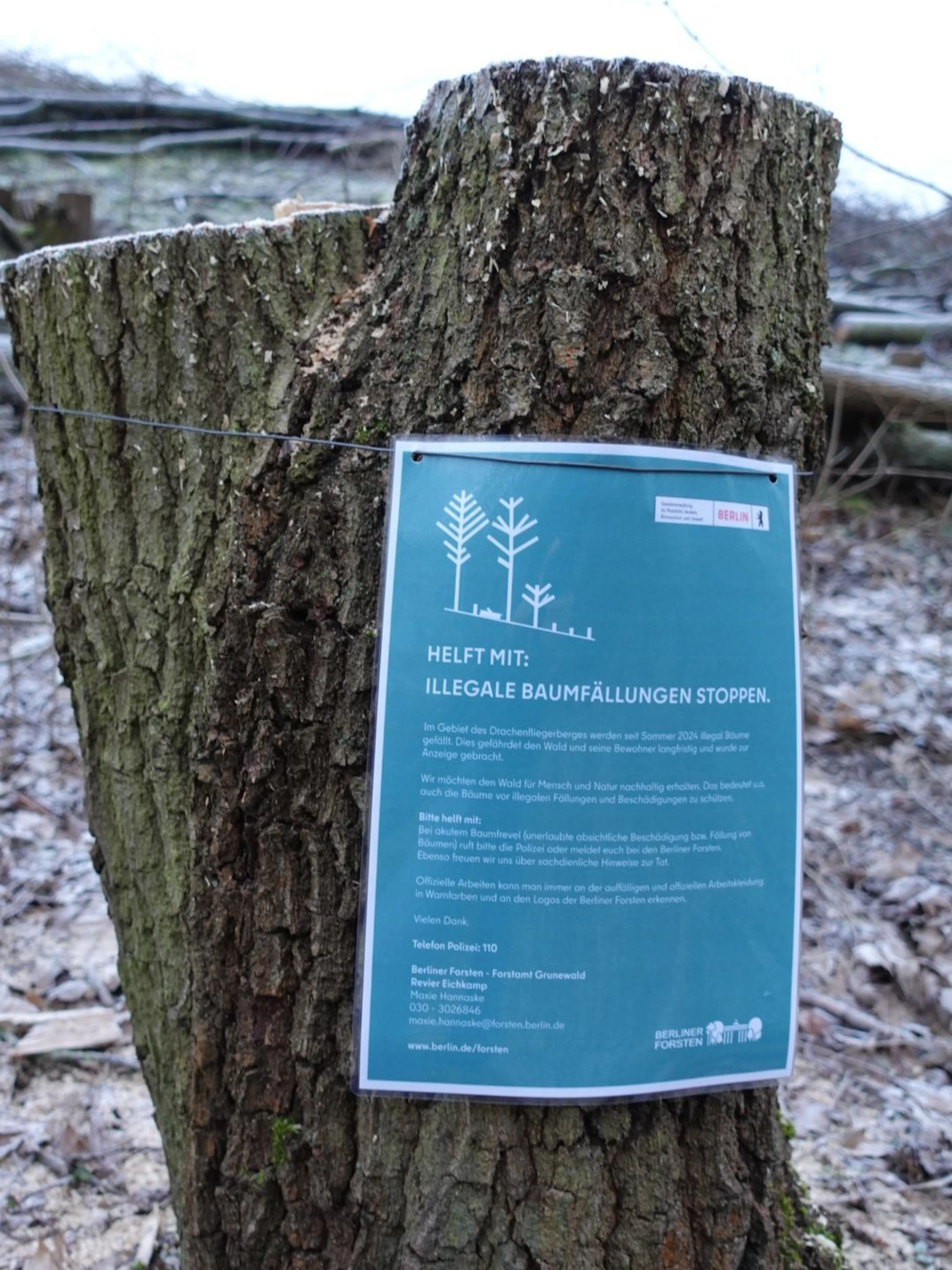 Auf Hinweisschildern bittet das Forstamt Grunewald um Unterstützung bei der Suche nach dem Täter.