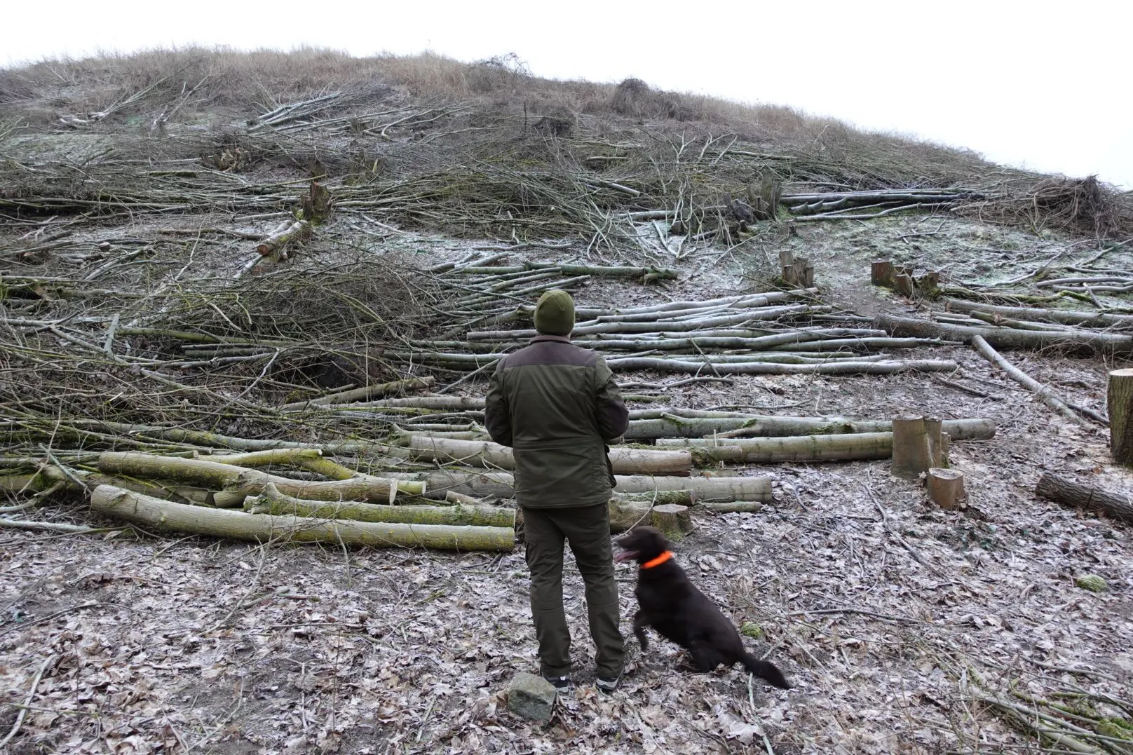 Alles abgeholzt: Fassungslos steht Peter Keiler mit seinem Hund vor der zerstörten Fläche.