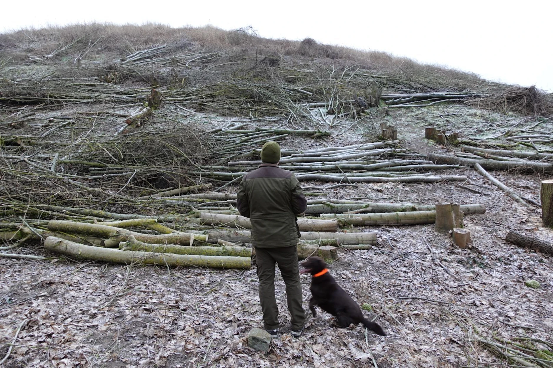 Alles abgeholzt: Fassungslos steht Peter Keiler mit seinem Hund vor der zerstörten Fläche.
