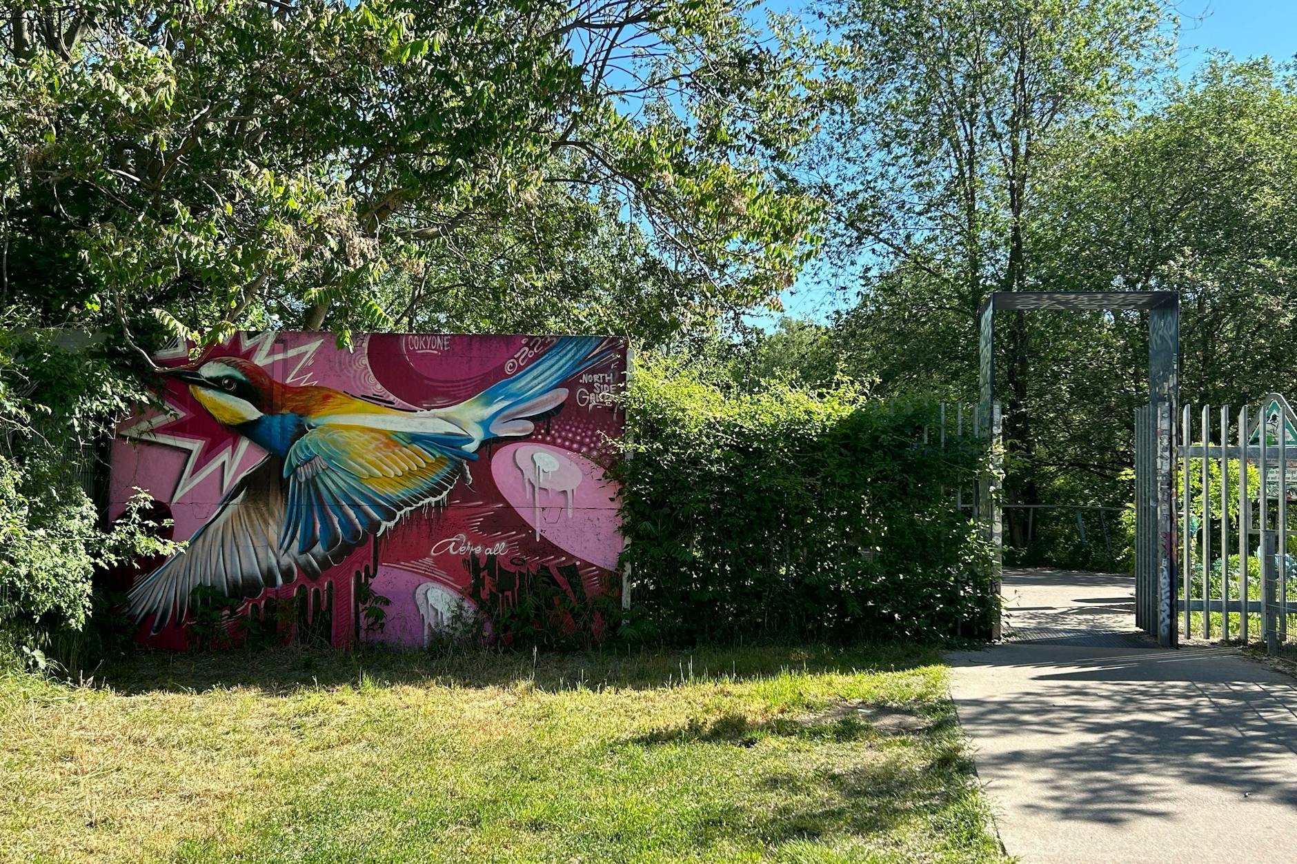 Eins der Graffiti, die Anwohner wie Daniel Rüster lieben. Er widerspricht den Vorwürfen, die in der BVV erhoben werden.