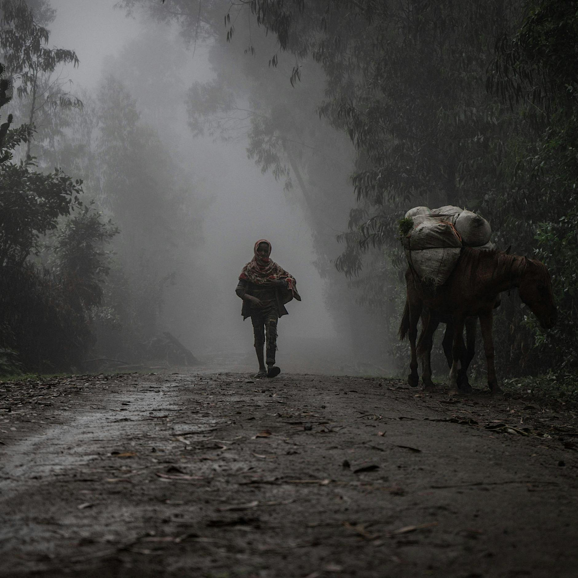Der Globale Süden: Was Hoffnung macht im steten Kampf um Frieden