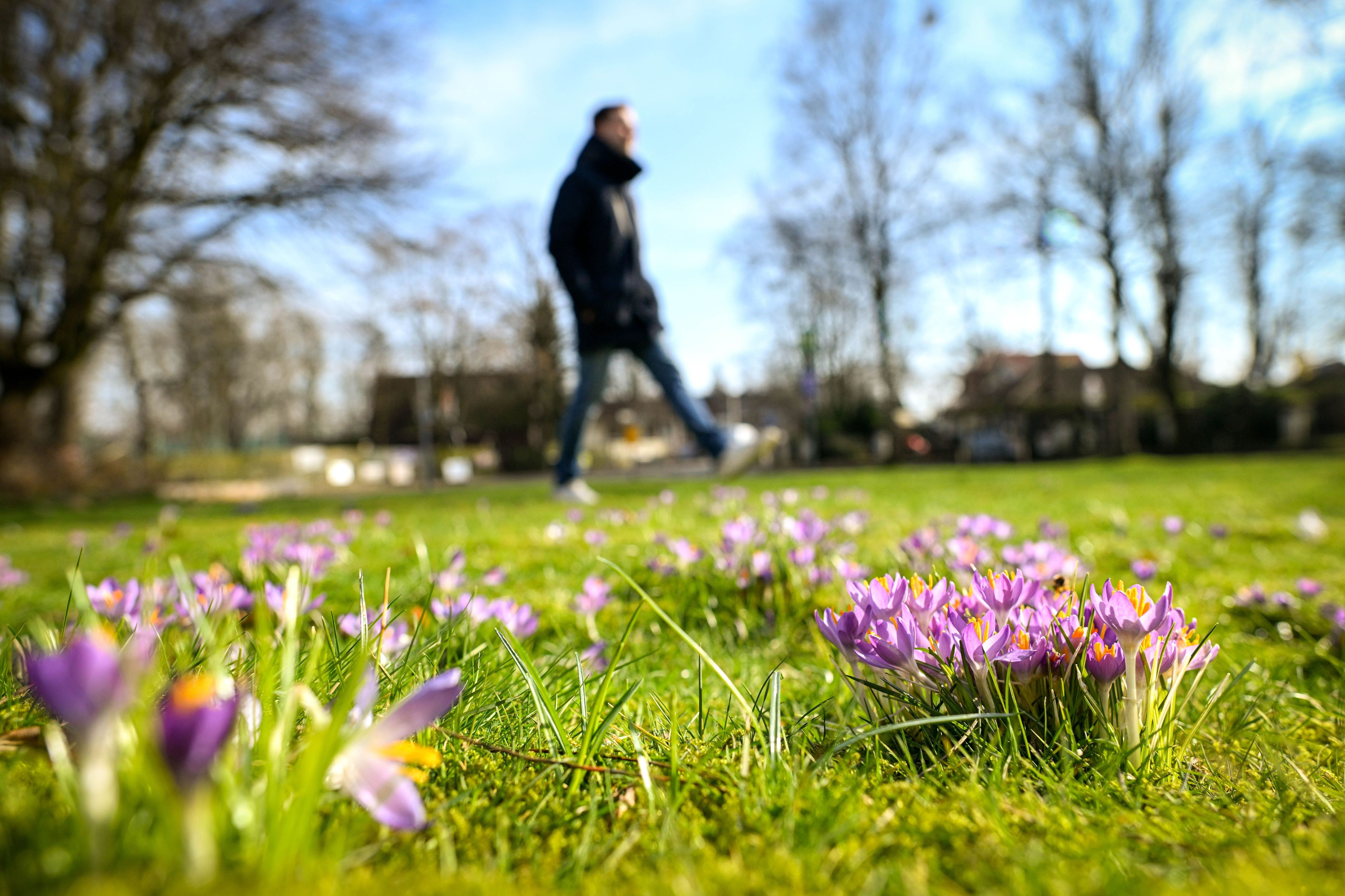 Nach der Eiseskälte startet in der kommenden Woche ein früher Frühling
