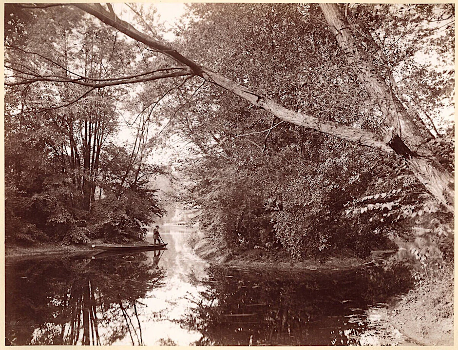 Der Tiergarten war Ort des Verbrechens.