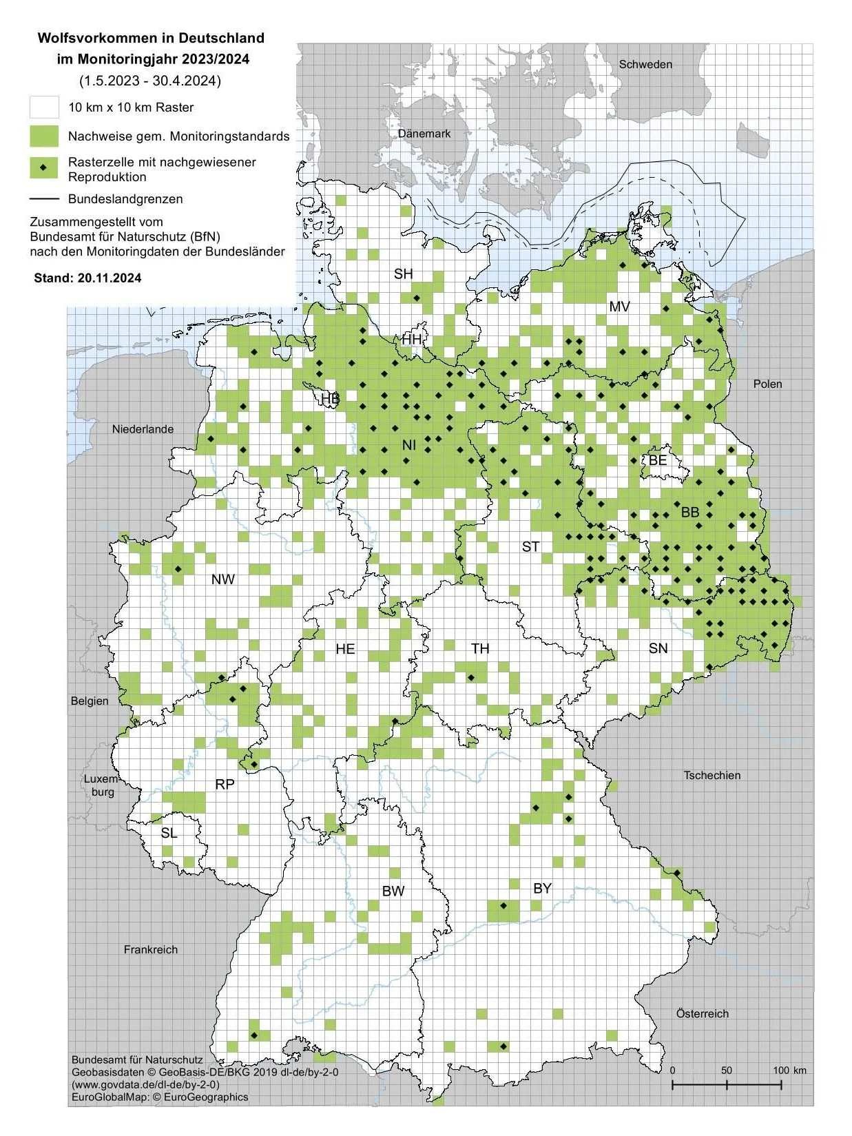 Die Karte zeigt, wo überall schon Wölfe in Deutschland gesichtet wurden. Die größte Wolfsdichte gibt es in Brandenburg, Sachsen und Niedersachsen.