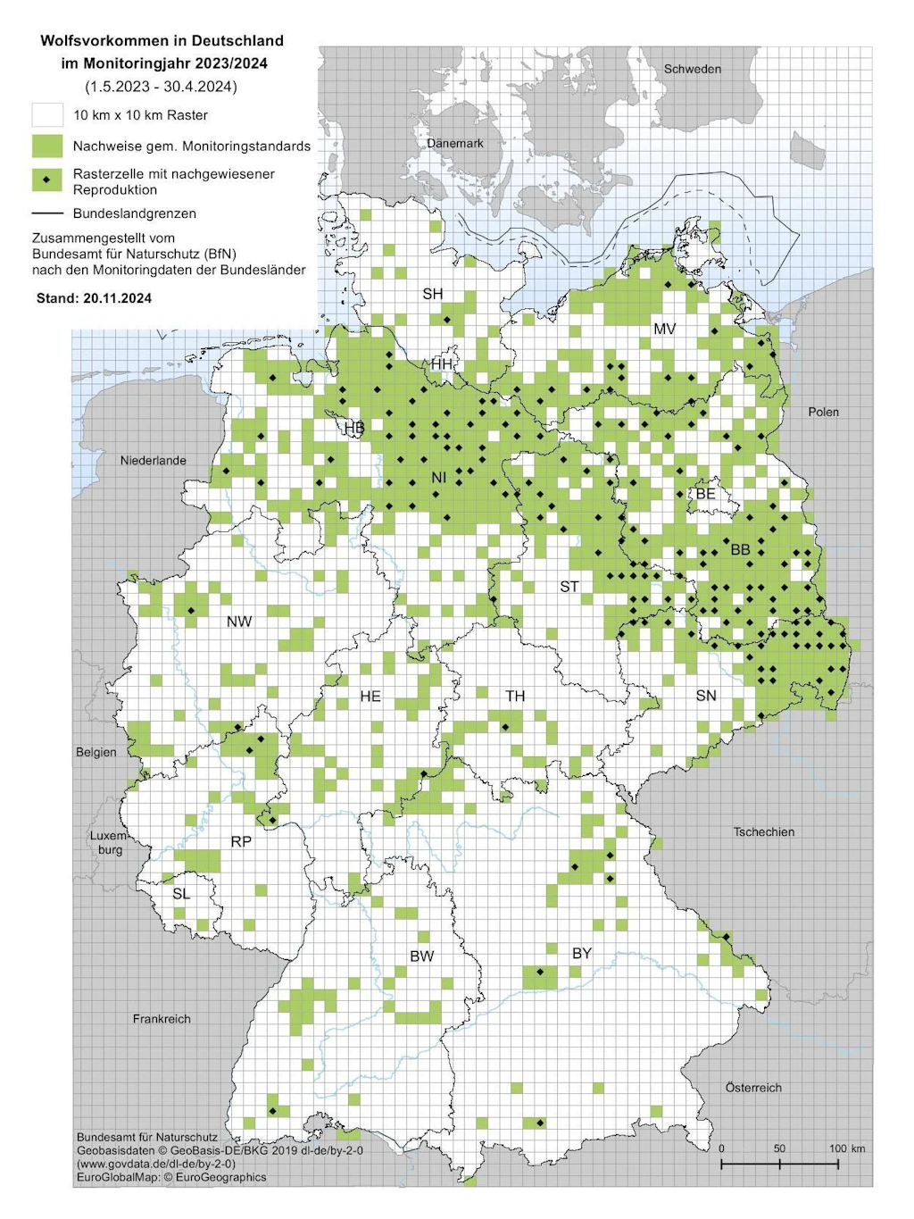 Die Karte zeigt, wo überall schon Wölfe in Deutschland gesichtet wurden. Die größte Wolfsdichte gibt es in Brandenburg, Sachsen und Niedersachsen.