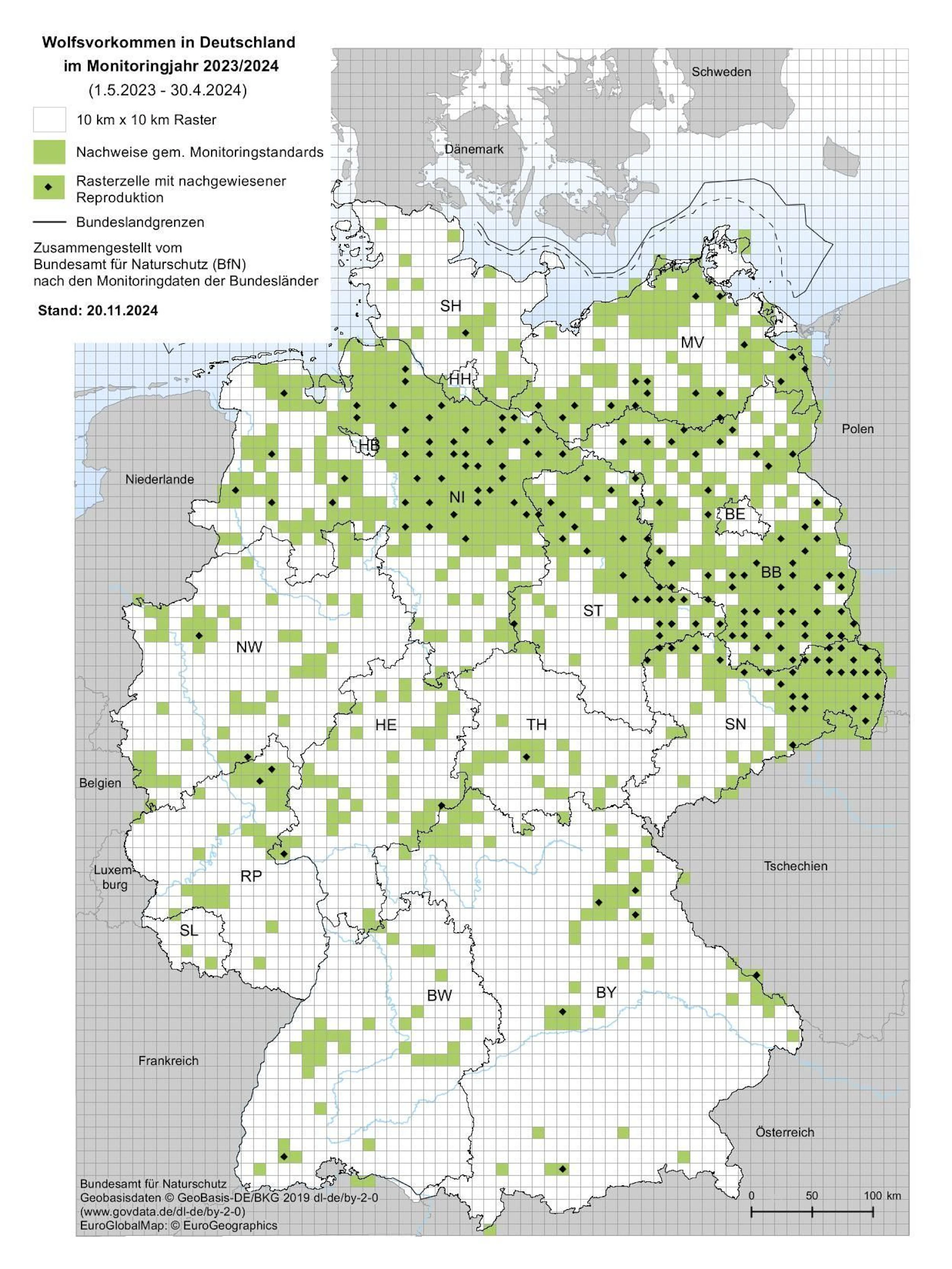 Die Karte zeigt, wo überall schon Wölfe in Deutschland gesichtet wurden. Die größte Wolfsdichte gibt es in Brandenburg, Sachsen und Niedersachsen.
