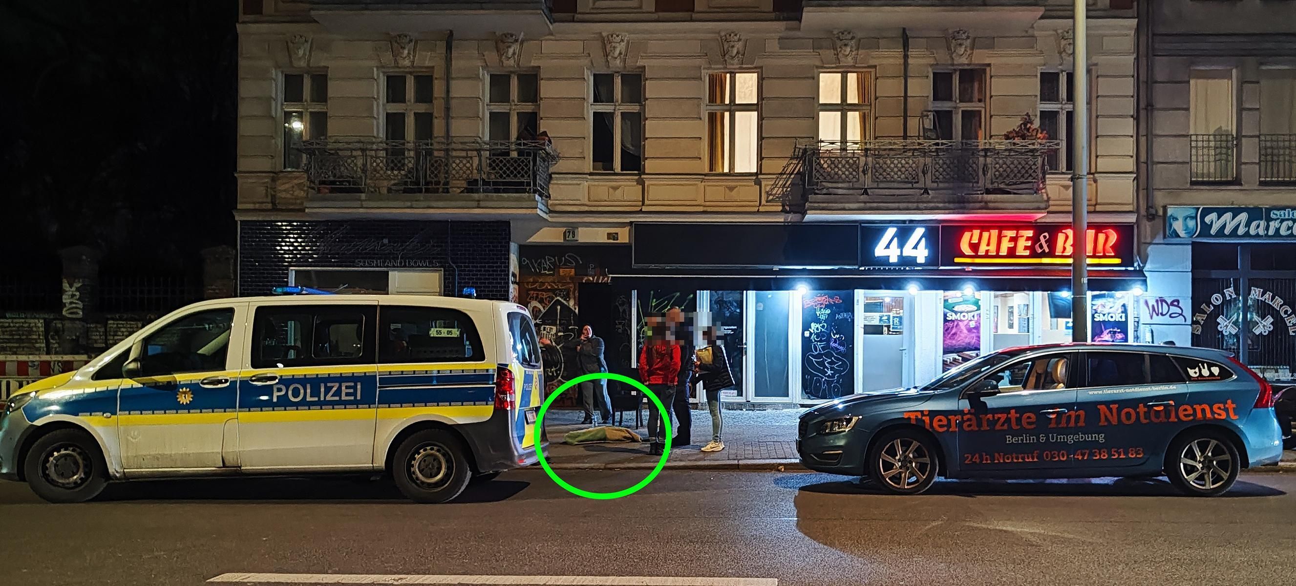 Drama in der Hermannstraße: Hund stürzt aus 4. Etage – tot!