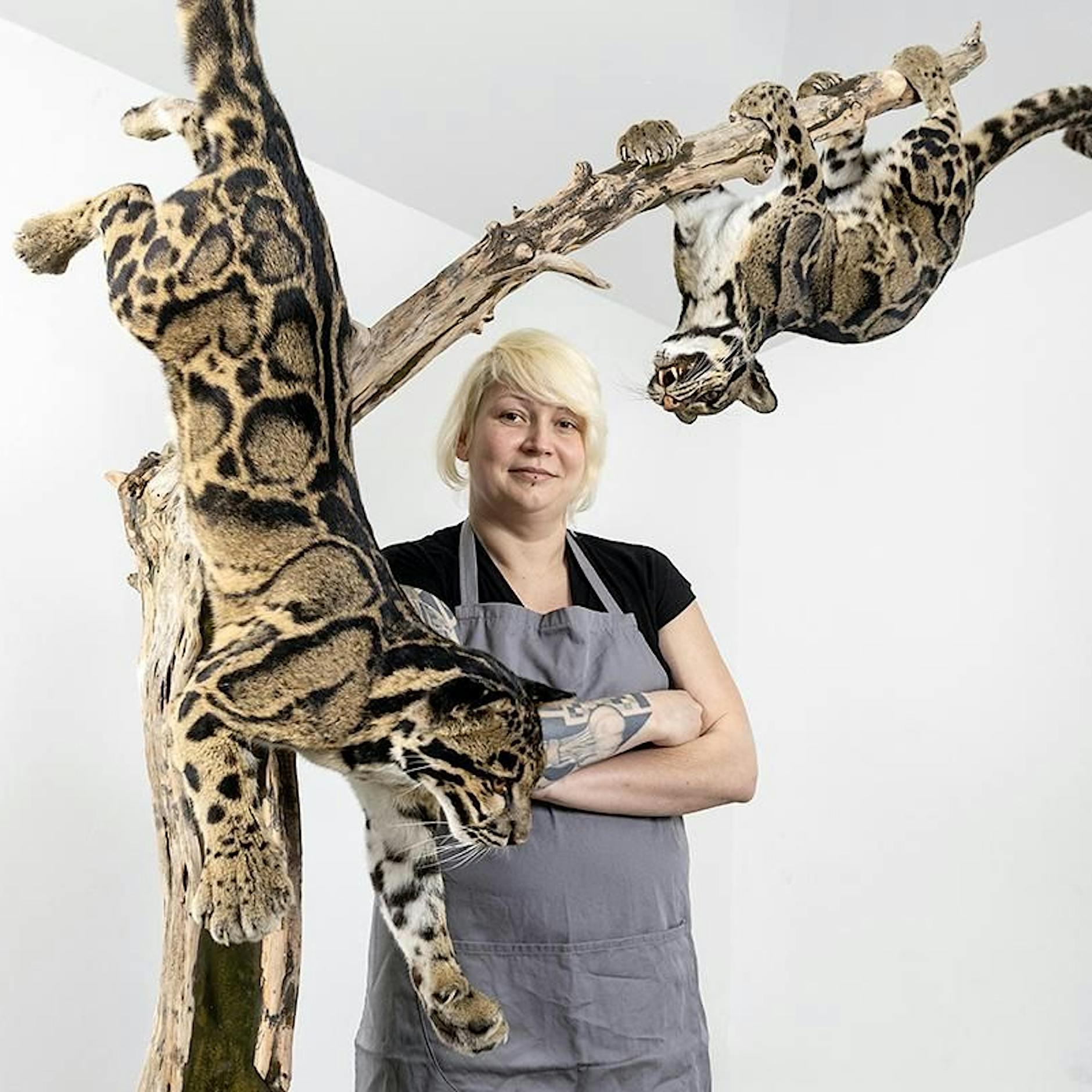 Springende Großkatzen: Die Präparatorin Christin Scheinpflug ist Europameisterin