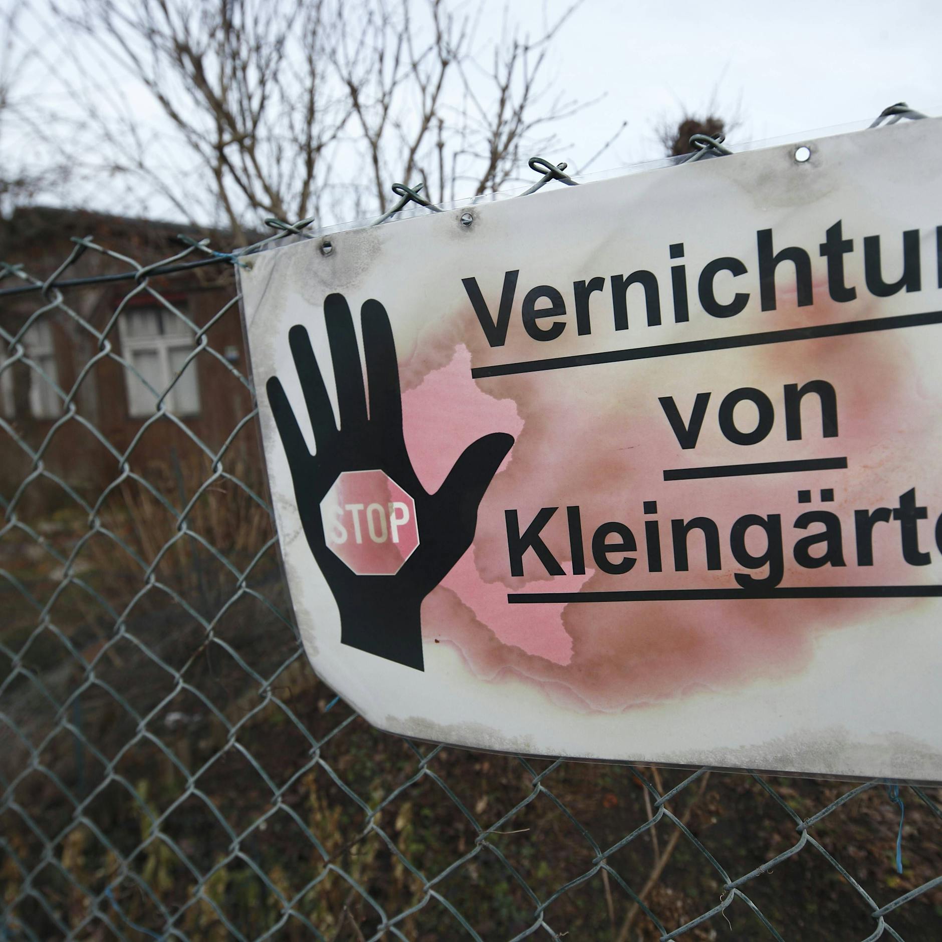 Vom Wohnungsbau bedroht: Rettet Gesetz Berlins Kleingärten vor dem Aus?