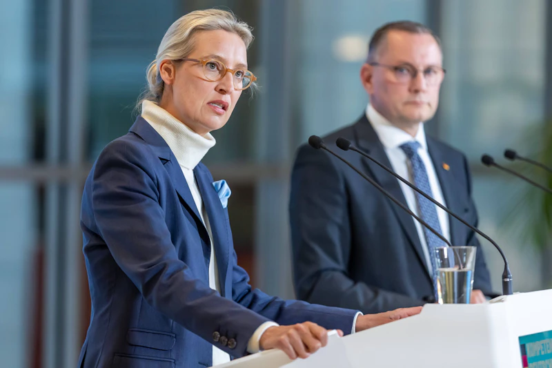Aktuelle Umfrage: AfD baut Abstand zur Union aus, Kubicki st