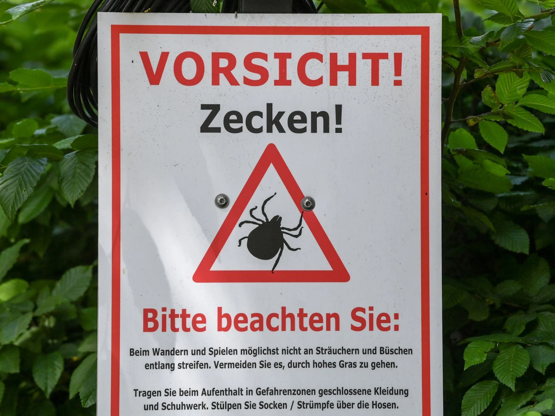 „Vorsicht! Zecken!“: Mit diesem Schild warnte das Biosphärenreservat Schorfheide-Chorin schon im Jahre 2021.