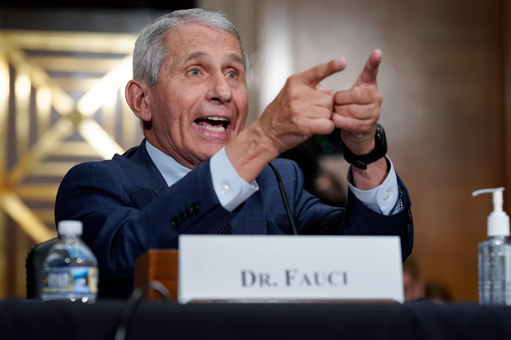 Der Immunologe Anthony Fauci soll am 29. Juli vor dem US-Kongress unter Eid aussagen.