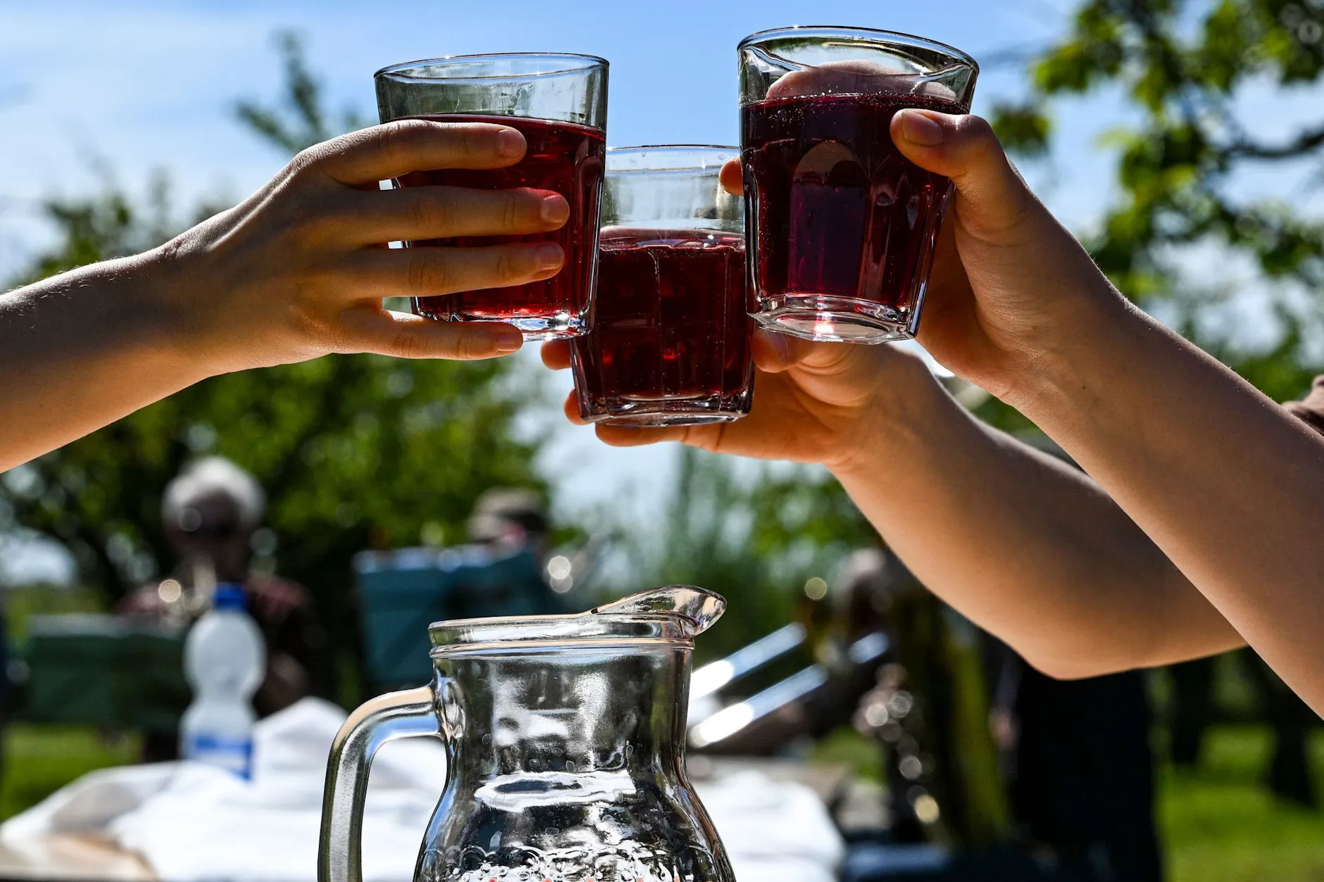 Gäste stoßen unter Obstbäumen beim Baumblütenfest mit Obstwein an. Vom 26. April bis 4. Mai öffnen die Obsthöfe und Gärten ihre Türen.
