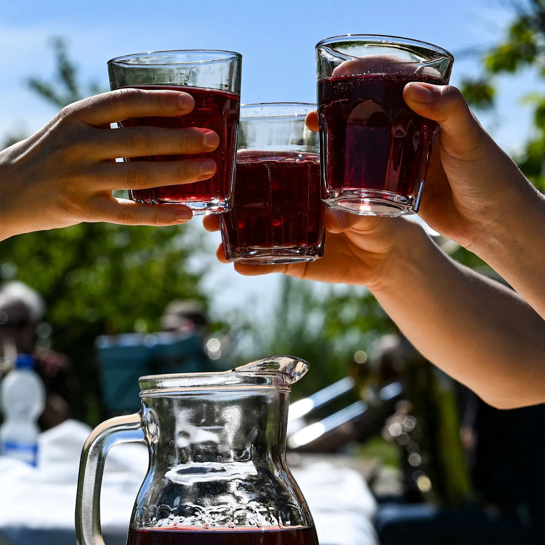 Alle Termine, alle Infos: Das Baumblütenfest in Werder dreht wieder (auf)