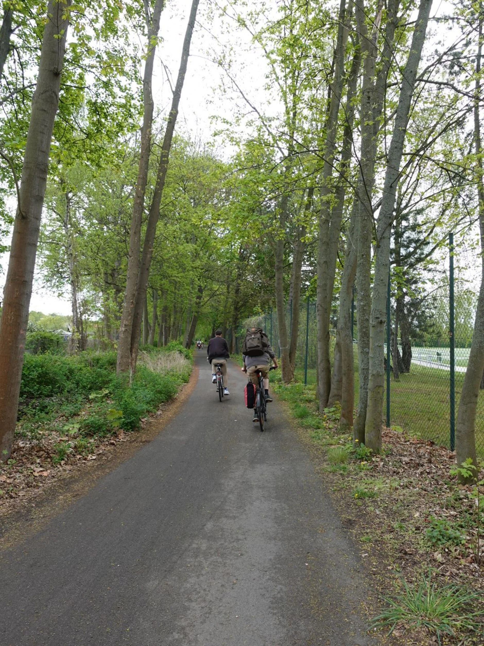 Direkt hinter den Kleingartenanlagen gibt es schon den gut genutzten Radfernweg Berlin-Kopenhagen.