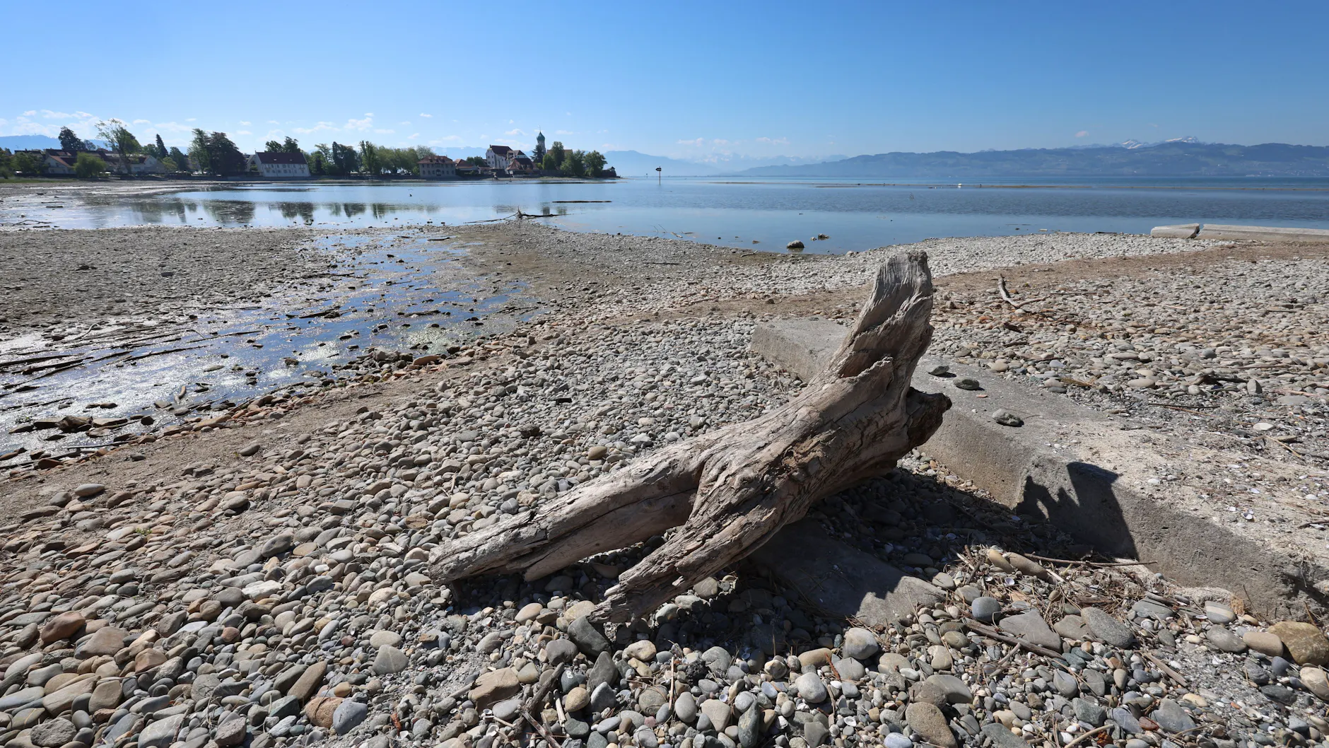 Wasserburg in Bayern: Treibholz liegt auf dem trockenen Ufer des Bodensees.
