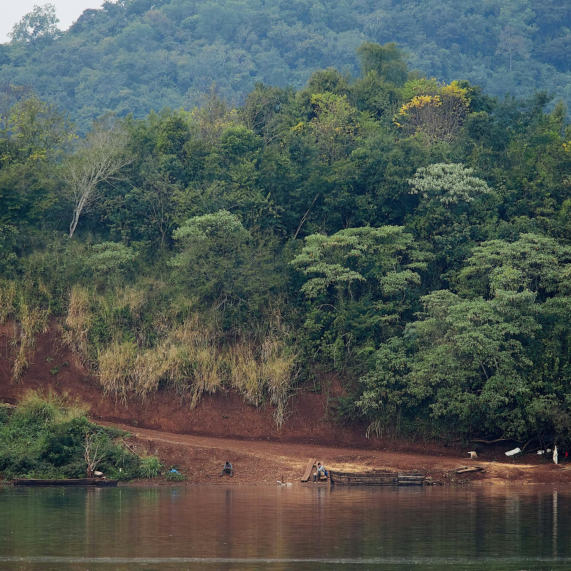Im babylonischen Dschungel: Nachkommen deutscher Einwanderer schützen in Argentinien die Umwelt