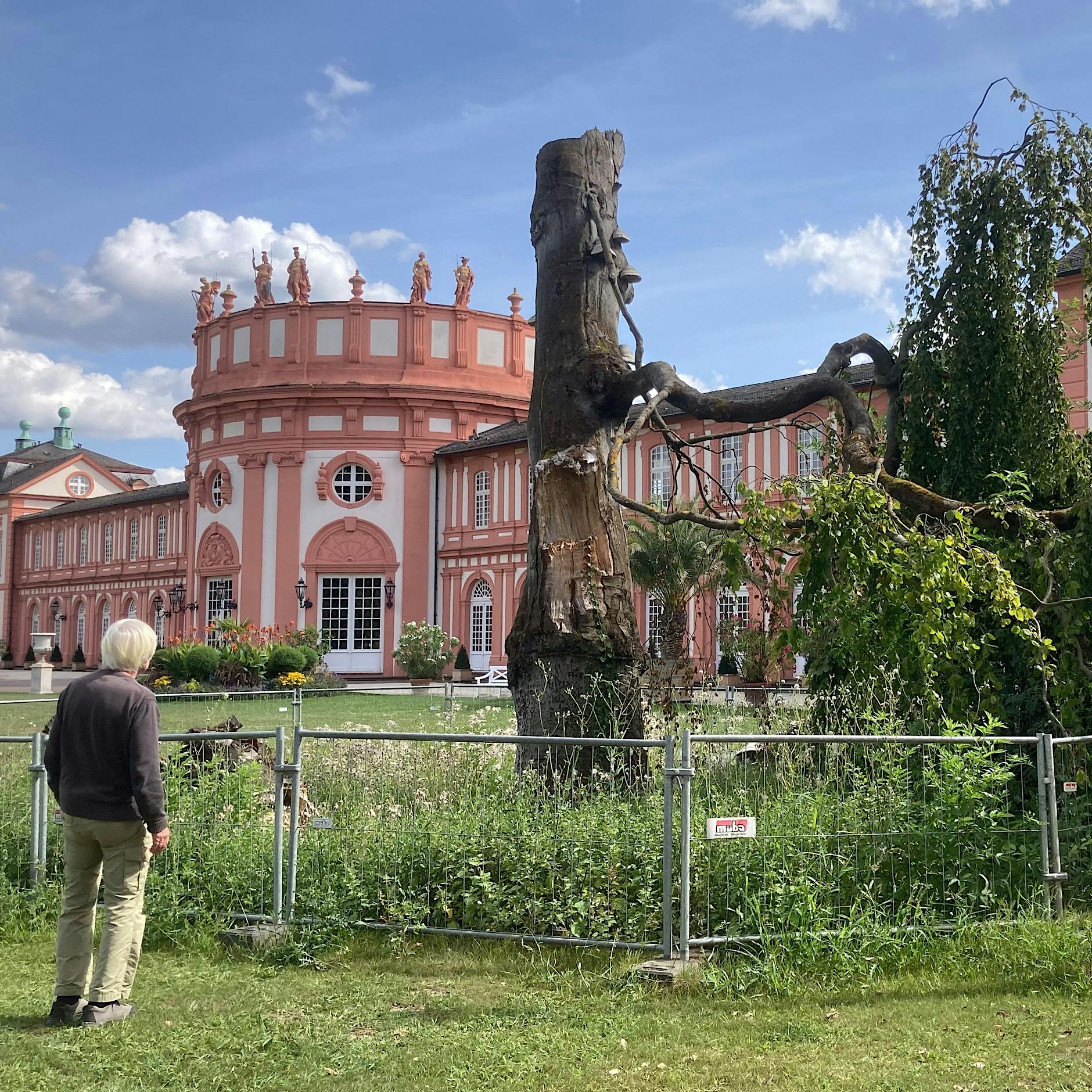 Aus für staatliche Filmbewertung: Die FBW muss schließen, eine Tragödie ist das nicht