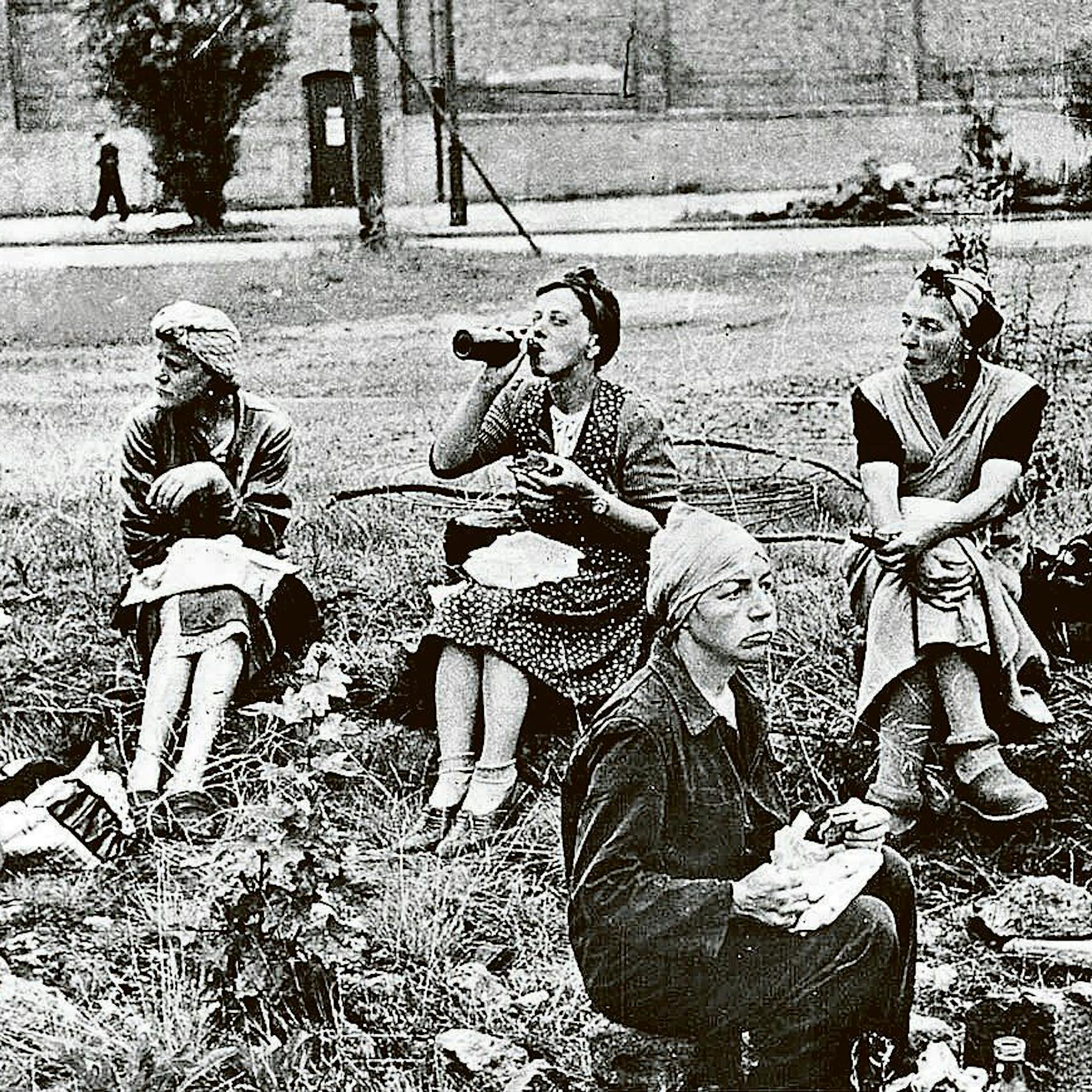 Wilmersdorfer Witwen: Von der Vernichtung einer Familie und einem Frauenleben in Schmerz