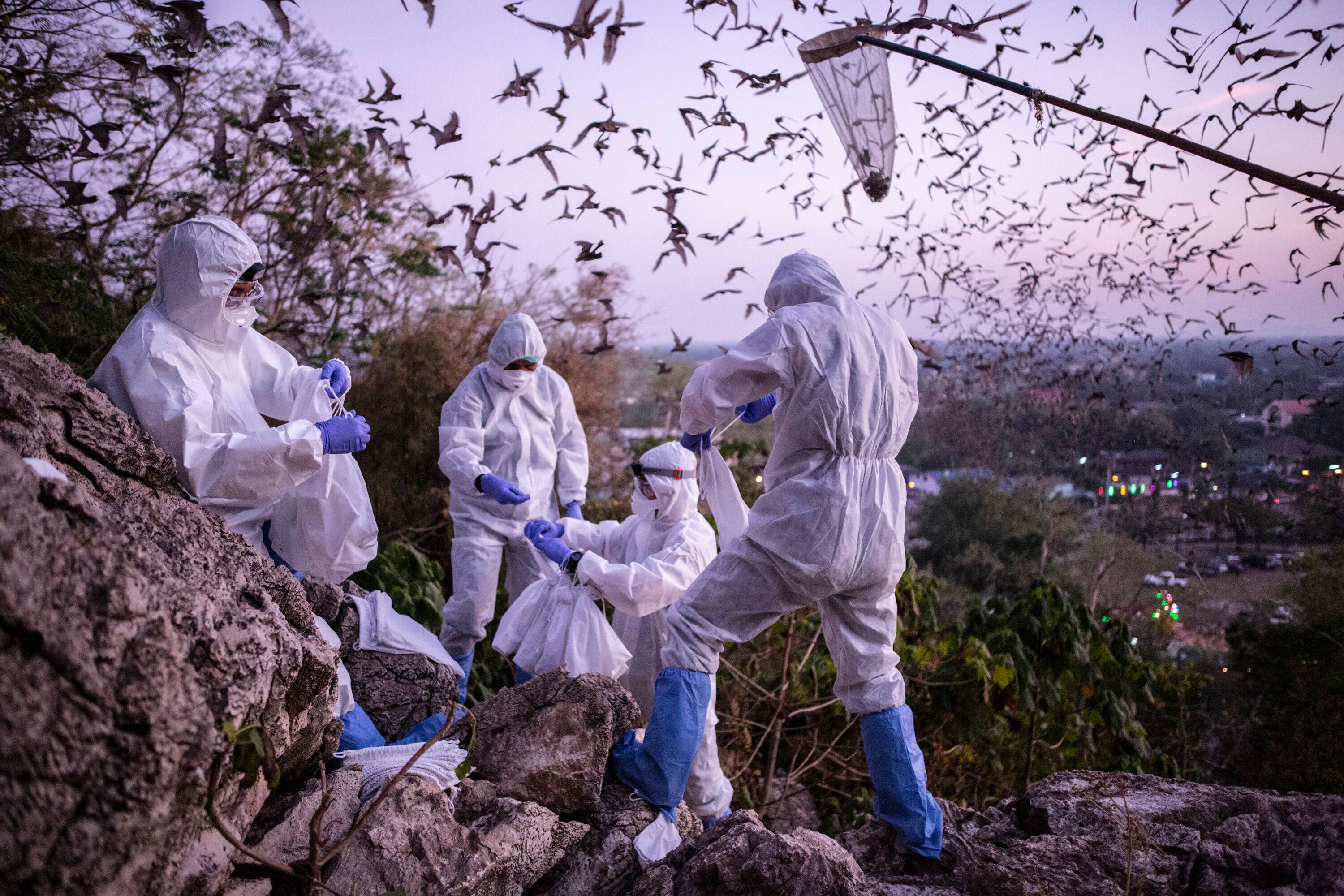 Image - Der Pandemie-Ursprung und die voreiligen Schlüsse der Klimaaktivisten: Hört auf, Gott zu spielen!