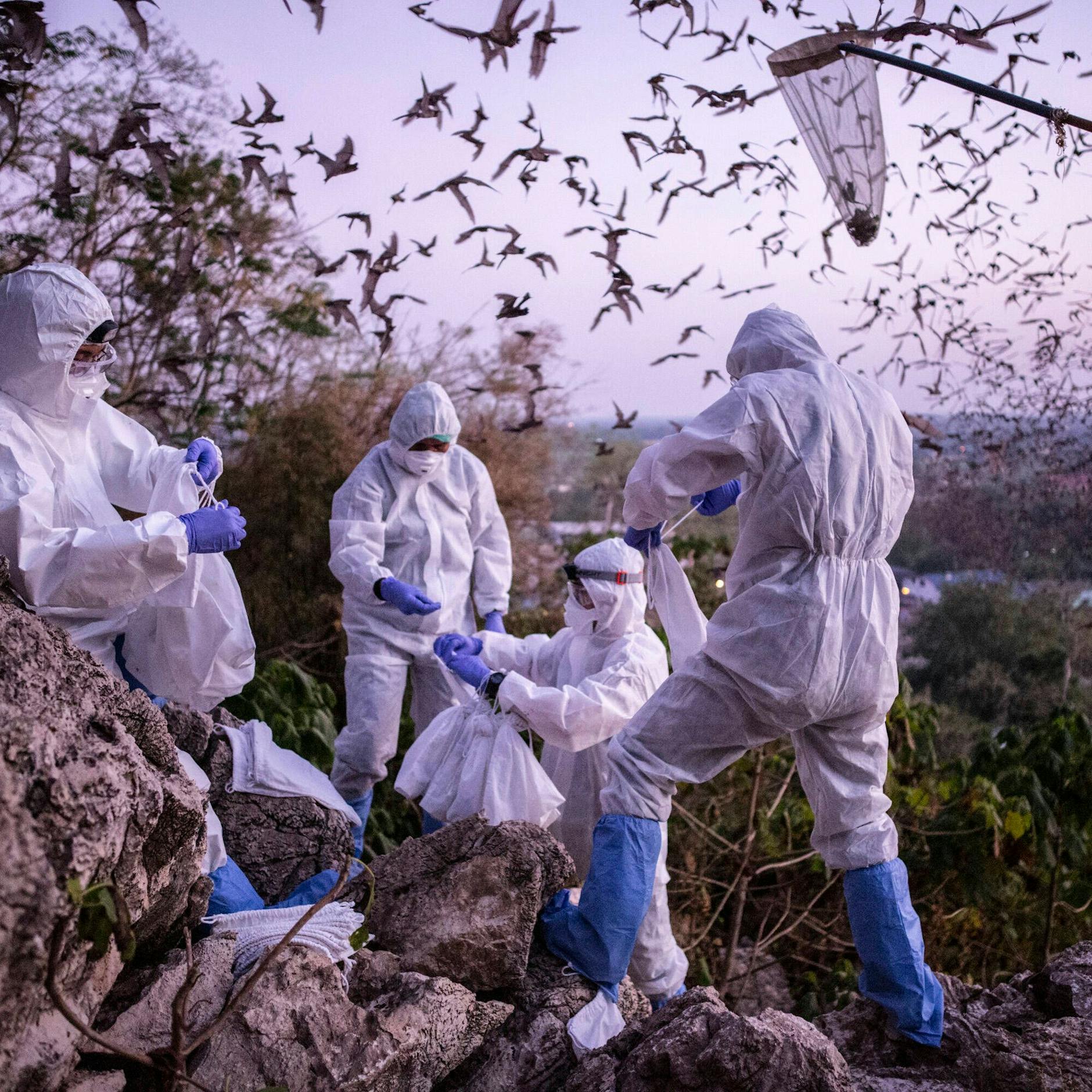 Image - Der Pandemie-Ursprung und die voreiligen Schlüsse der Klimaaktivisten: Hört auf, Gott zu spielen!