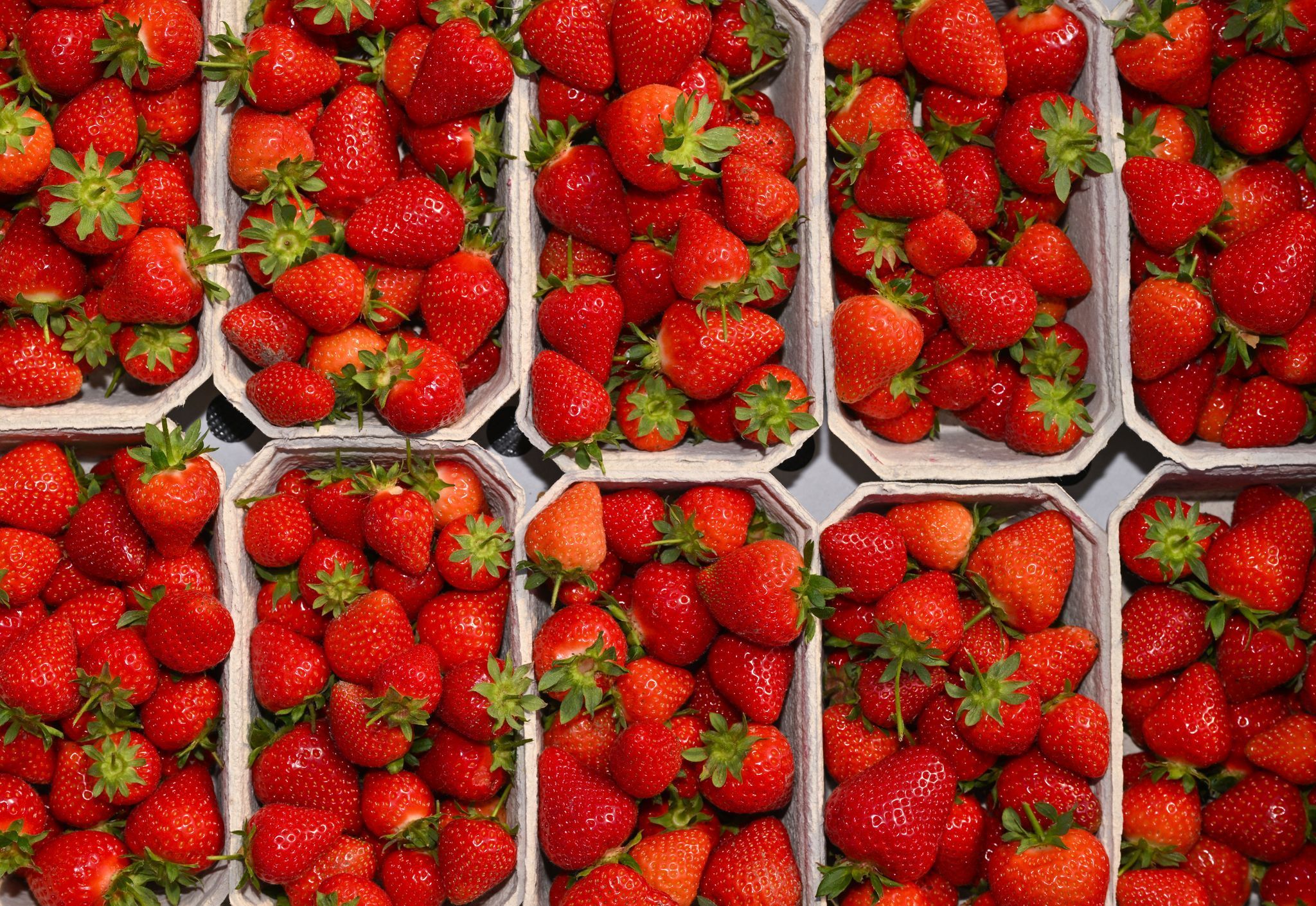 Preisschock an der Obsttheke: Das Kilo Erdbeeren kostet mindestens zehn Euro