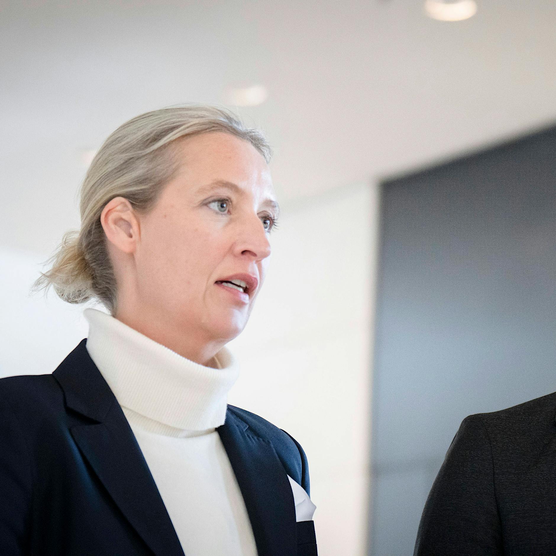 „Gegen-Gutachten“ der AfD: Wie verfassungsfeindlich sind CDU und CSU?