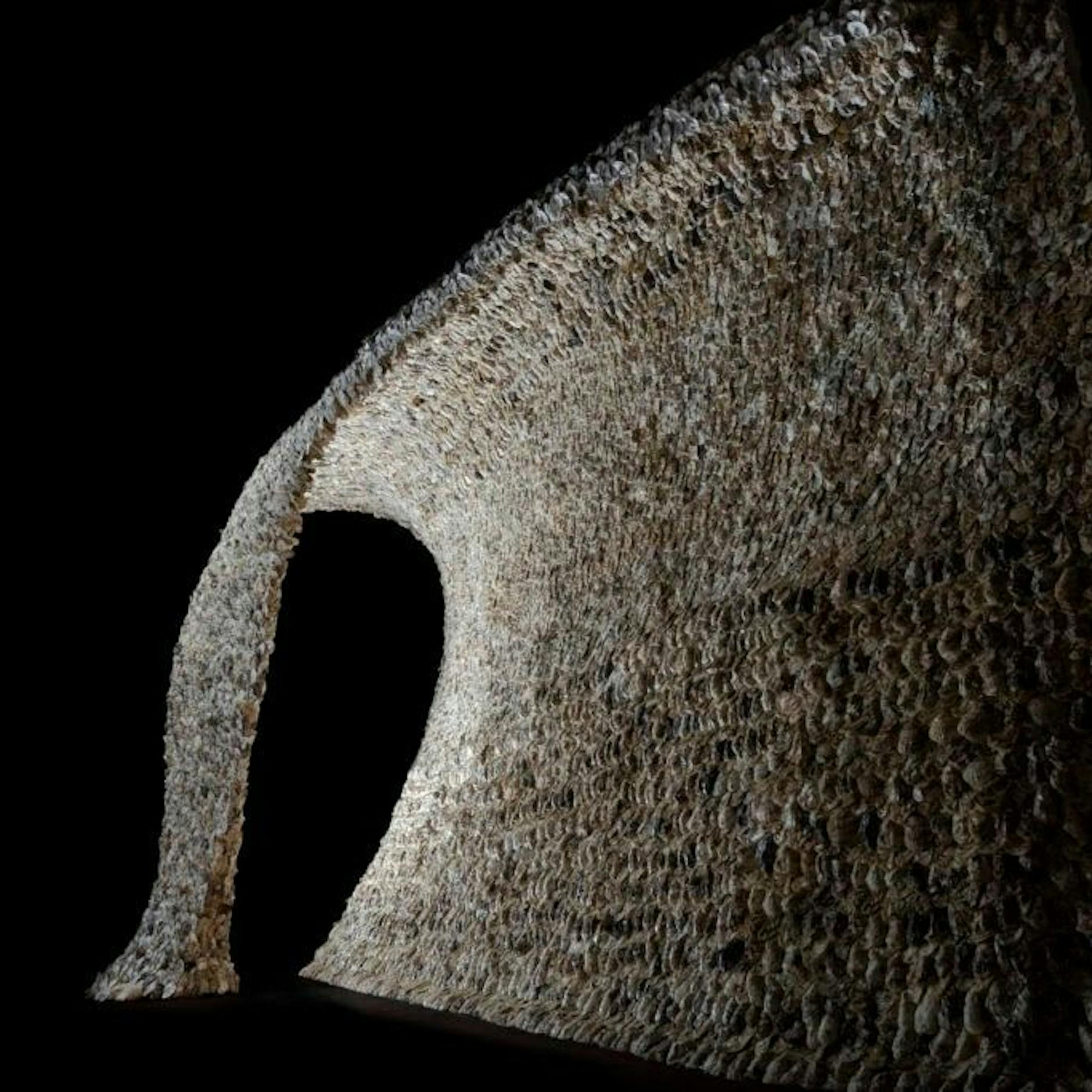 Image - Ein toter Elefant aus Austernschalen im Berliner Ostbahnhof: Wie die Deutsche Bahn ihre Kunden malträtiert