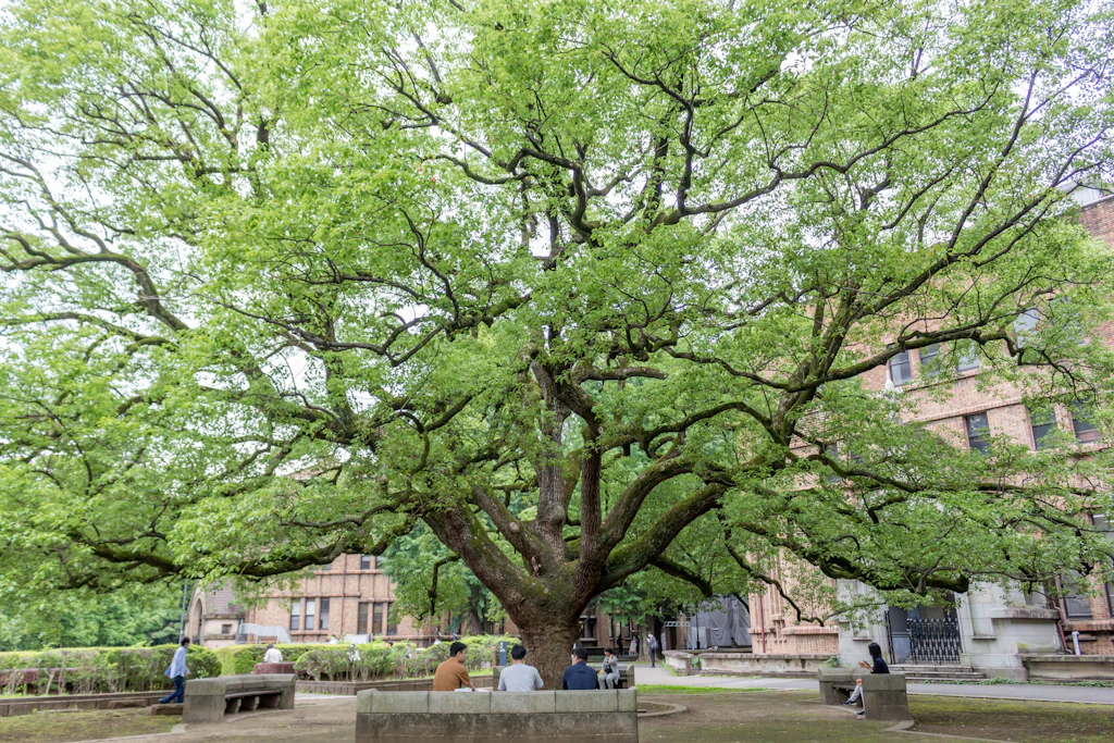 Eingangsbereich der Universität von Tokio