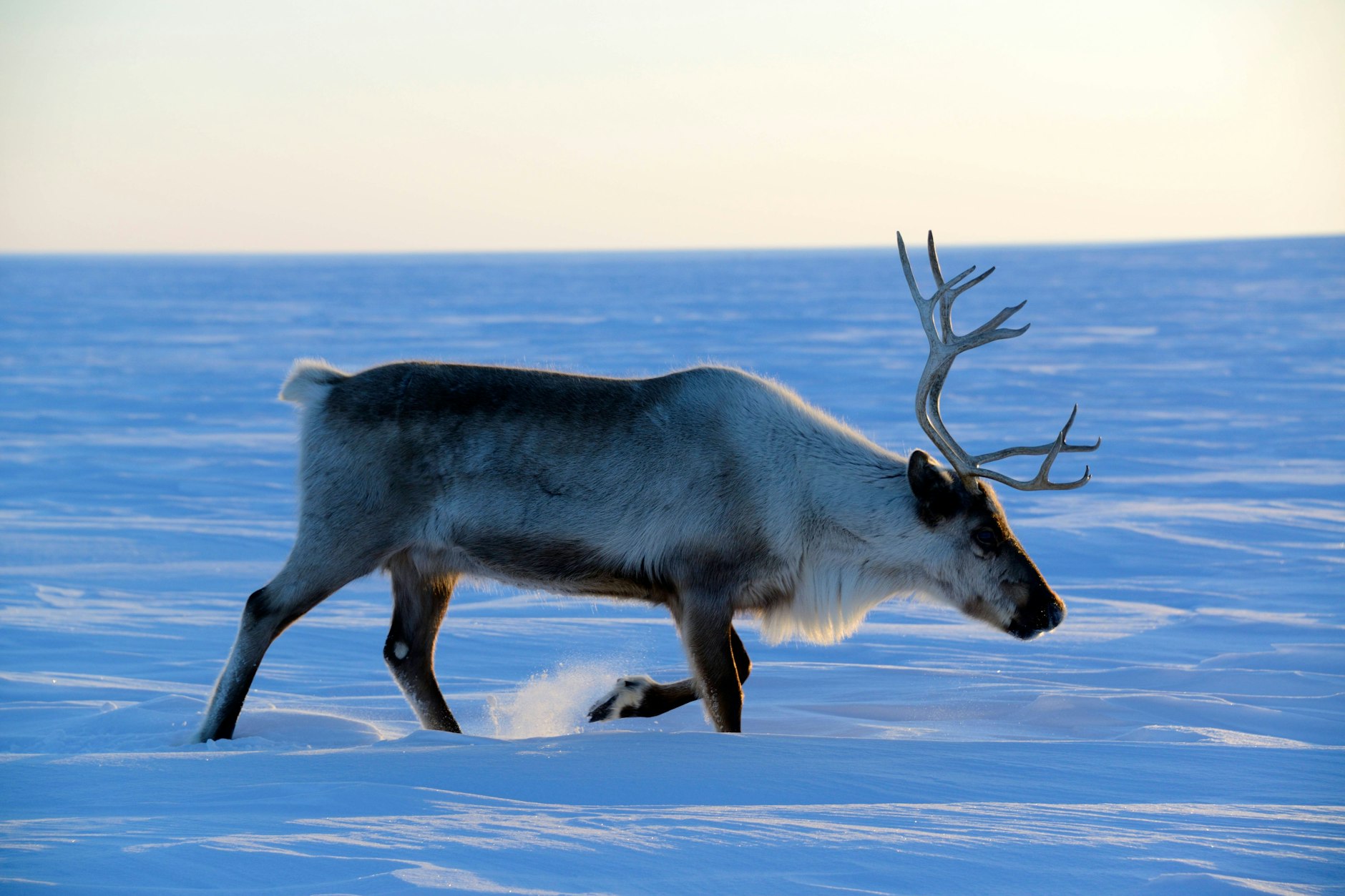 Bevor dieser Teil Sibiriens zum Exil taugen würde, müsste der Klimawandel wohl noch mal ran.