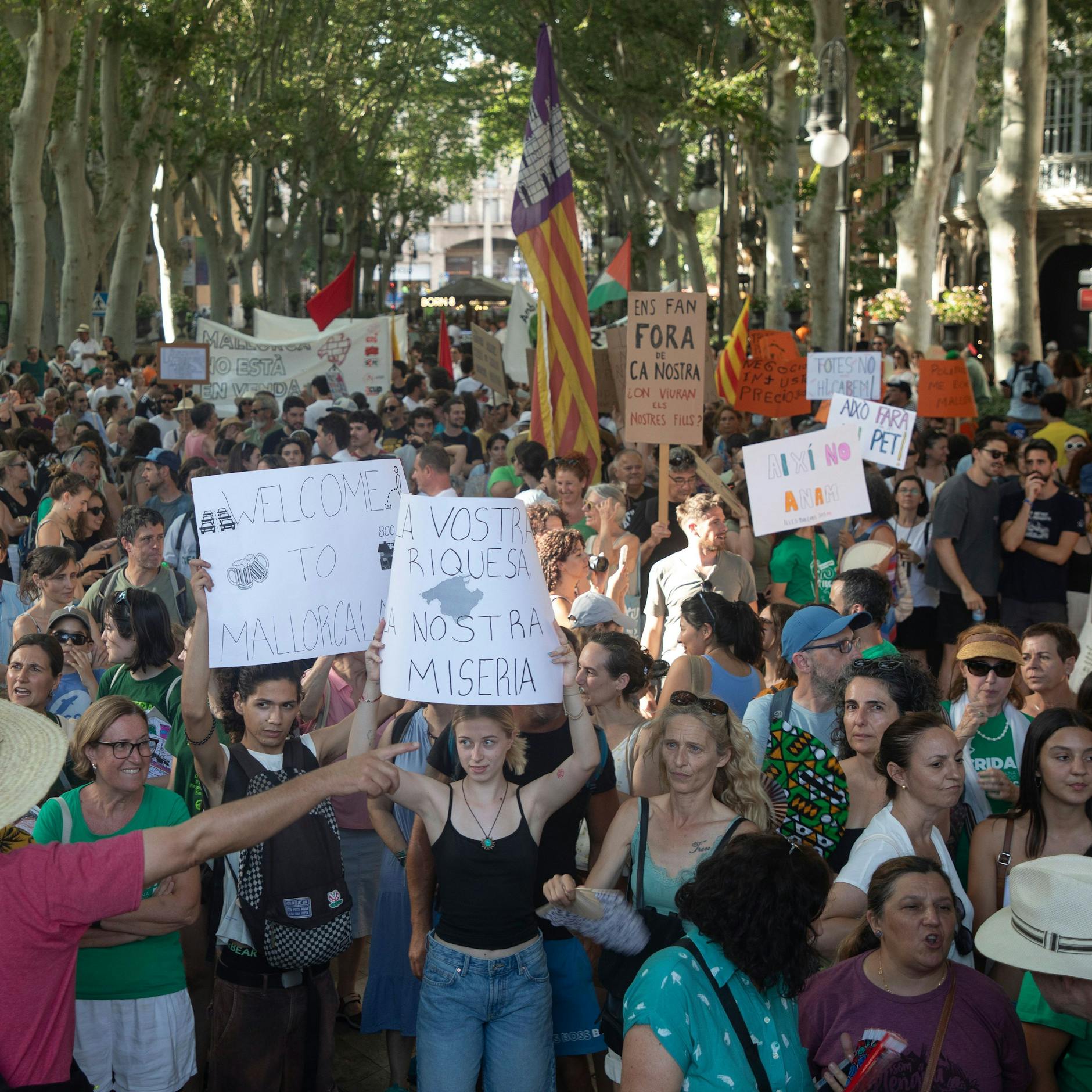 Image - Urlaubsroutine wird Ordnungswidrigkeit: Das „Sonnenbrillenverbot“ auf Mallorca