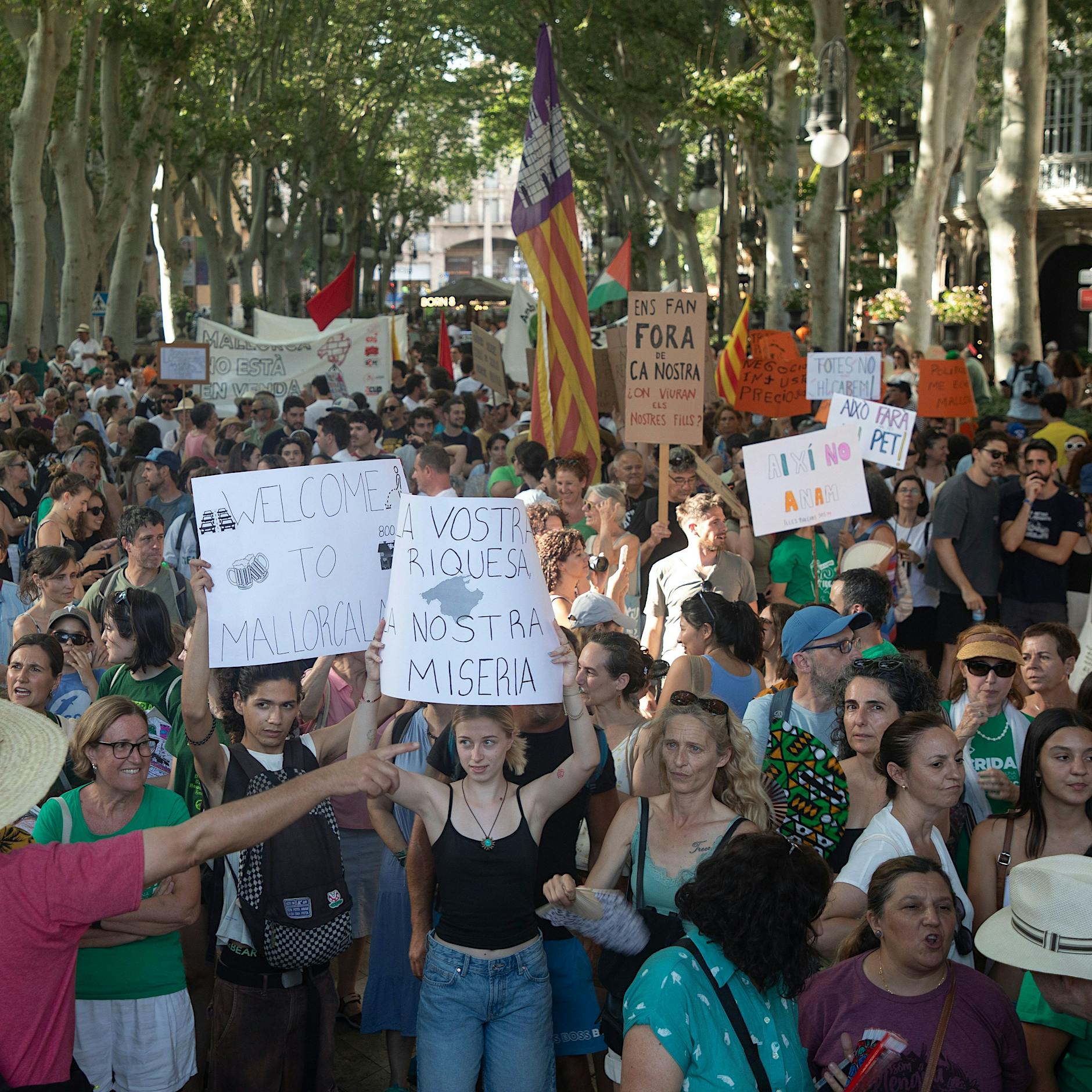 Urlaubsroutine wird Ordnungswidrigkeit: Das „Sonnenbrillenverbot“ auf Mallorca
