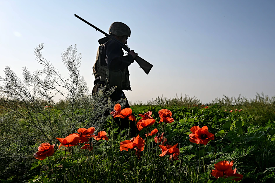 Der politische und gesellschaftliche Diskurs in Deutschland führt zu wachsender Furcht vor einem drohenden Krieg. Im Bild: ein ukrainischer Soldat in einem Feld
