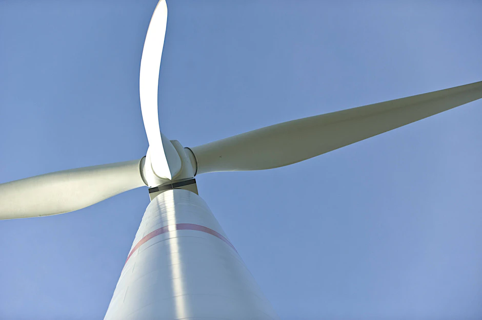 Gemäß dem Windenergieflächenbedarfsgesetz müssen alle Bundesländer bestimmte Flächen ausweisen, die für Windräder infrage kommen. In Berlin liegen einige der Flächen mitten im Wald.
