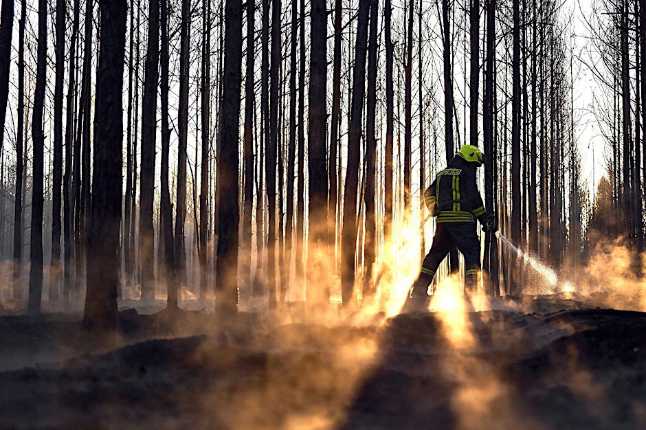 Ein Feuerwehrmann kämpft in einem Wald gegen die Flammen.