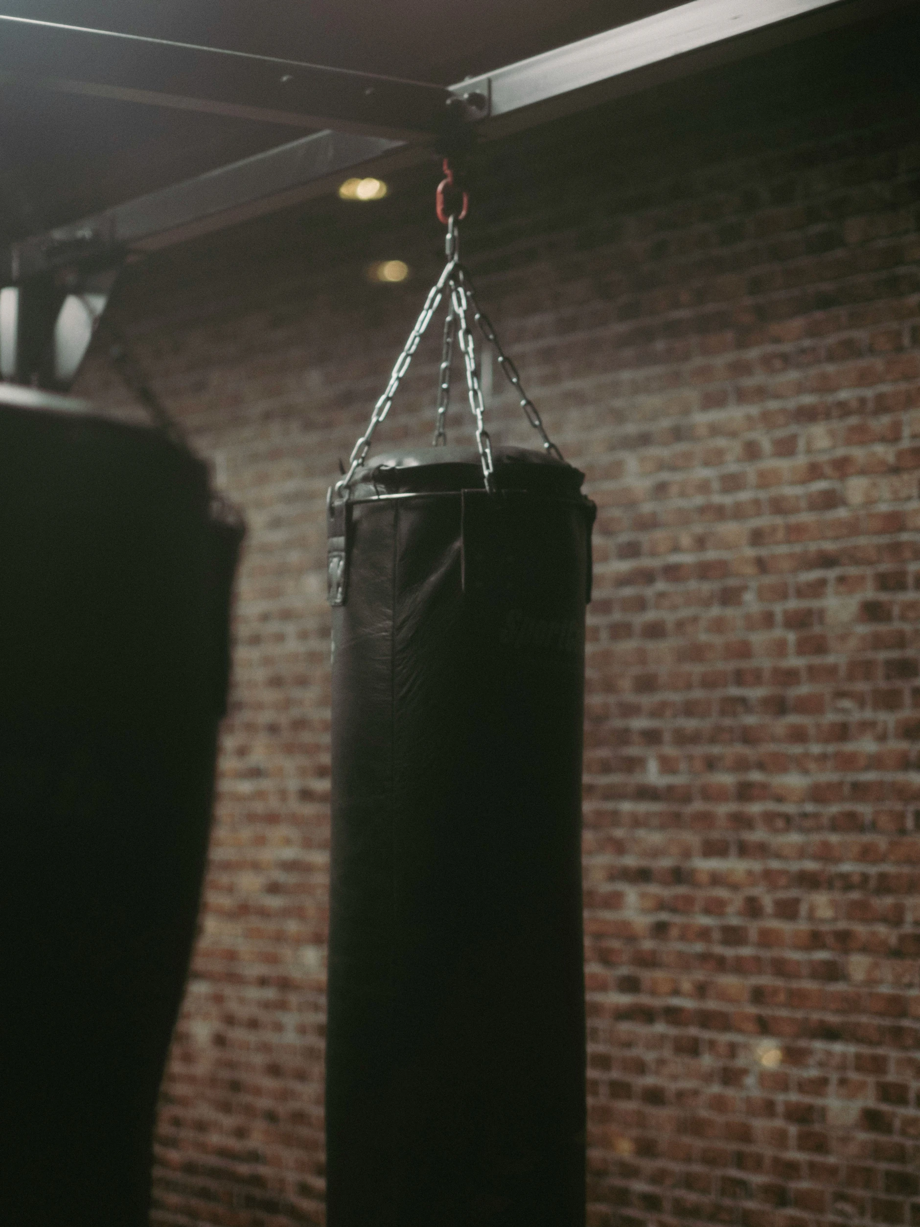 Das Training ist ein großer Teil von Arminius’ Alltag.