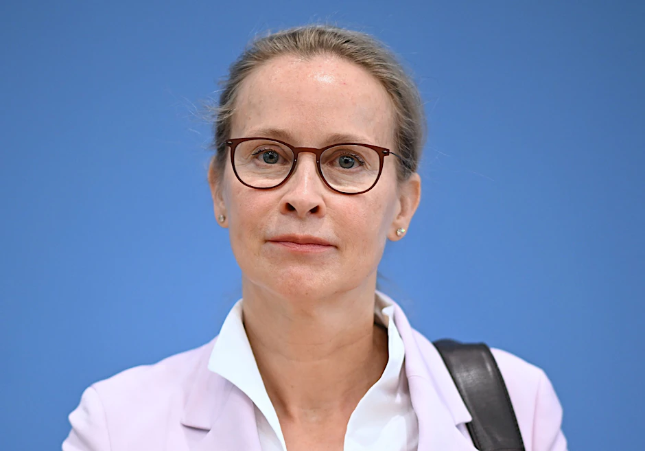 Plagiatsvorwürfe bei Richterwahl: Vorläufiges Gutachten entlastet Brosius-Gersdorf