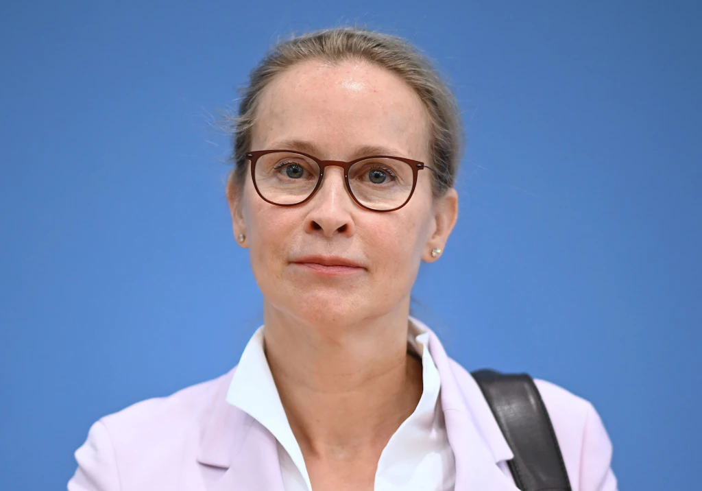 Plagiatsvorwürfe bei Richterwahl: Vorläufiges Gutachten entlastet Brosius-Gersdorf