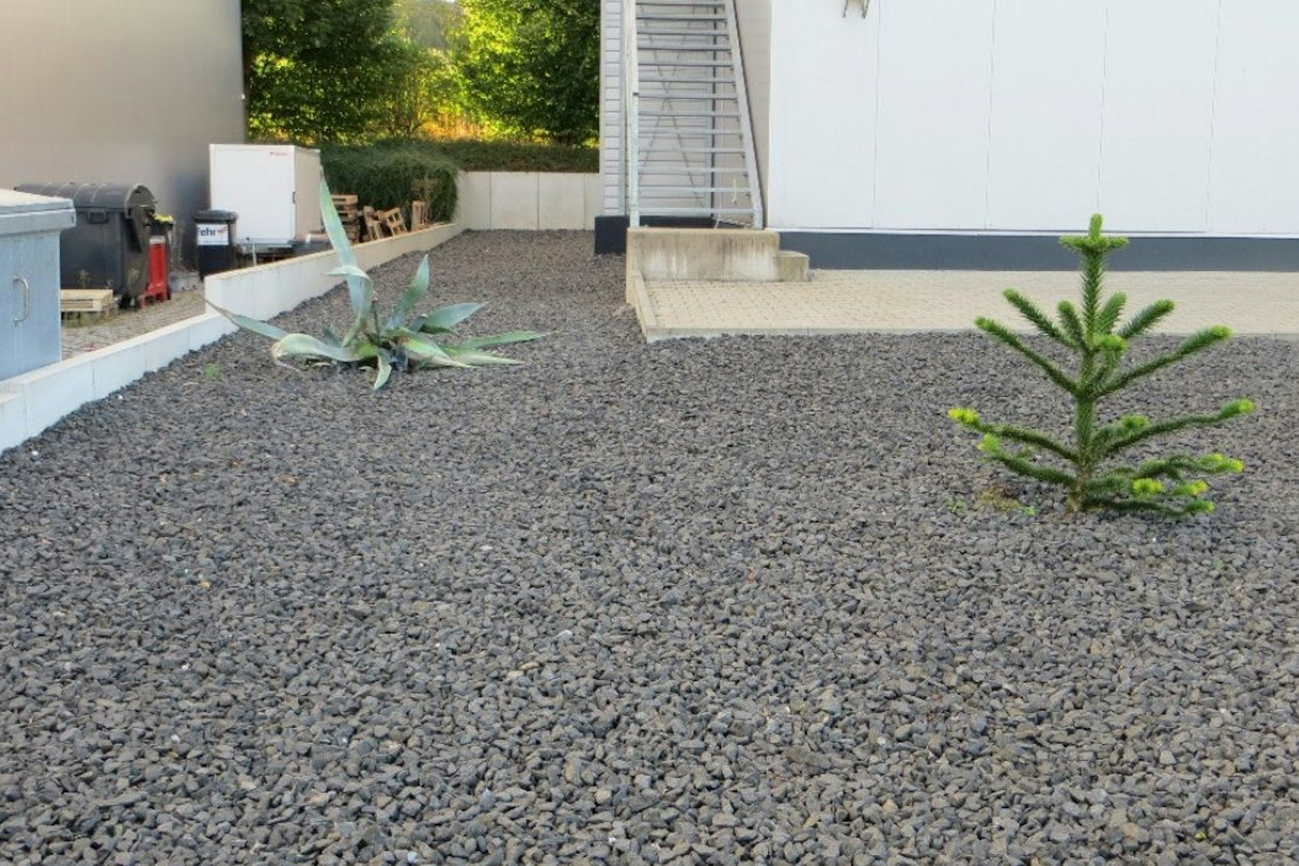 Das ist kein Vorgarten, das ist der Vorhof zur Hölle.