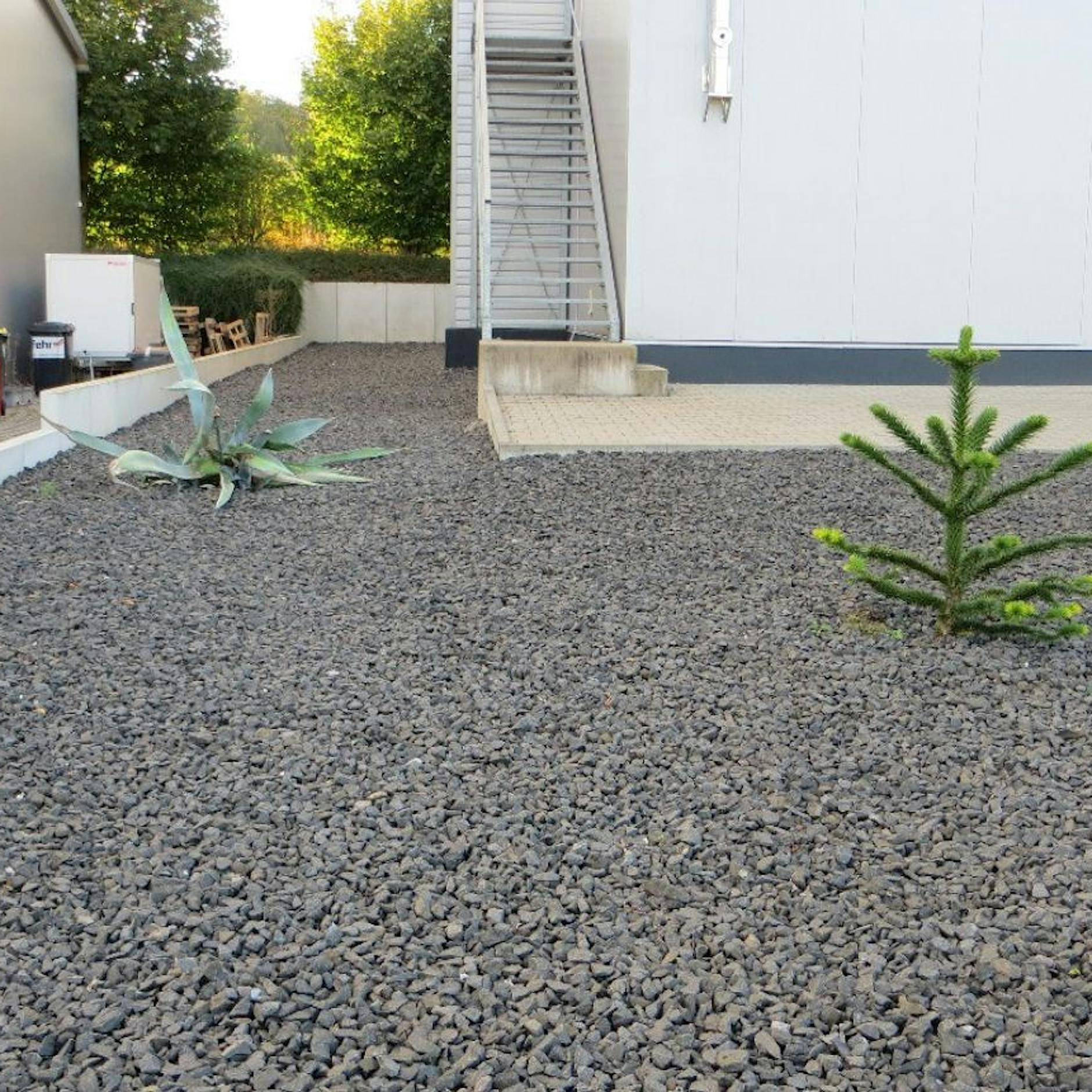 Berliner Vorgärten: Das Grauen lauert hinterm Zaun